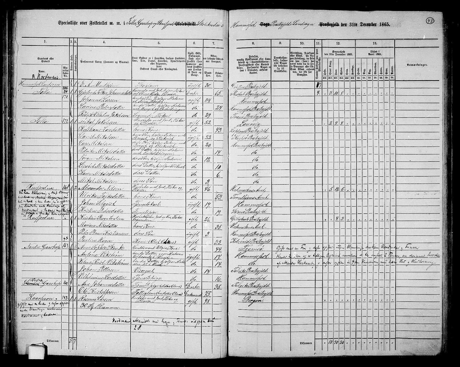 RA, 1865 census for Hammerfest/Hammerfest, 1865, p. 41
