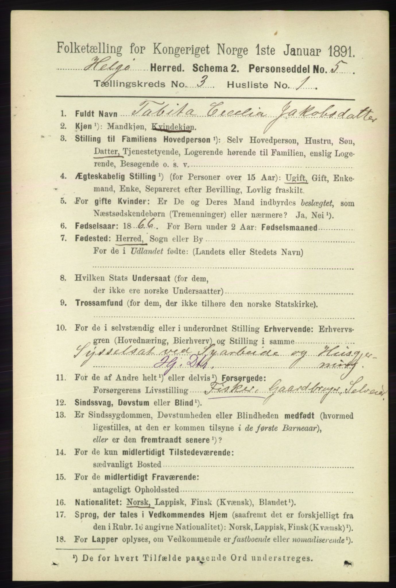 RA, 1891 census for 1935 Helgøy, 1891, p. 743