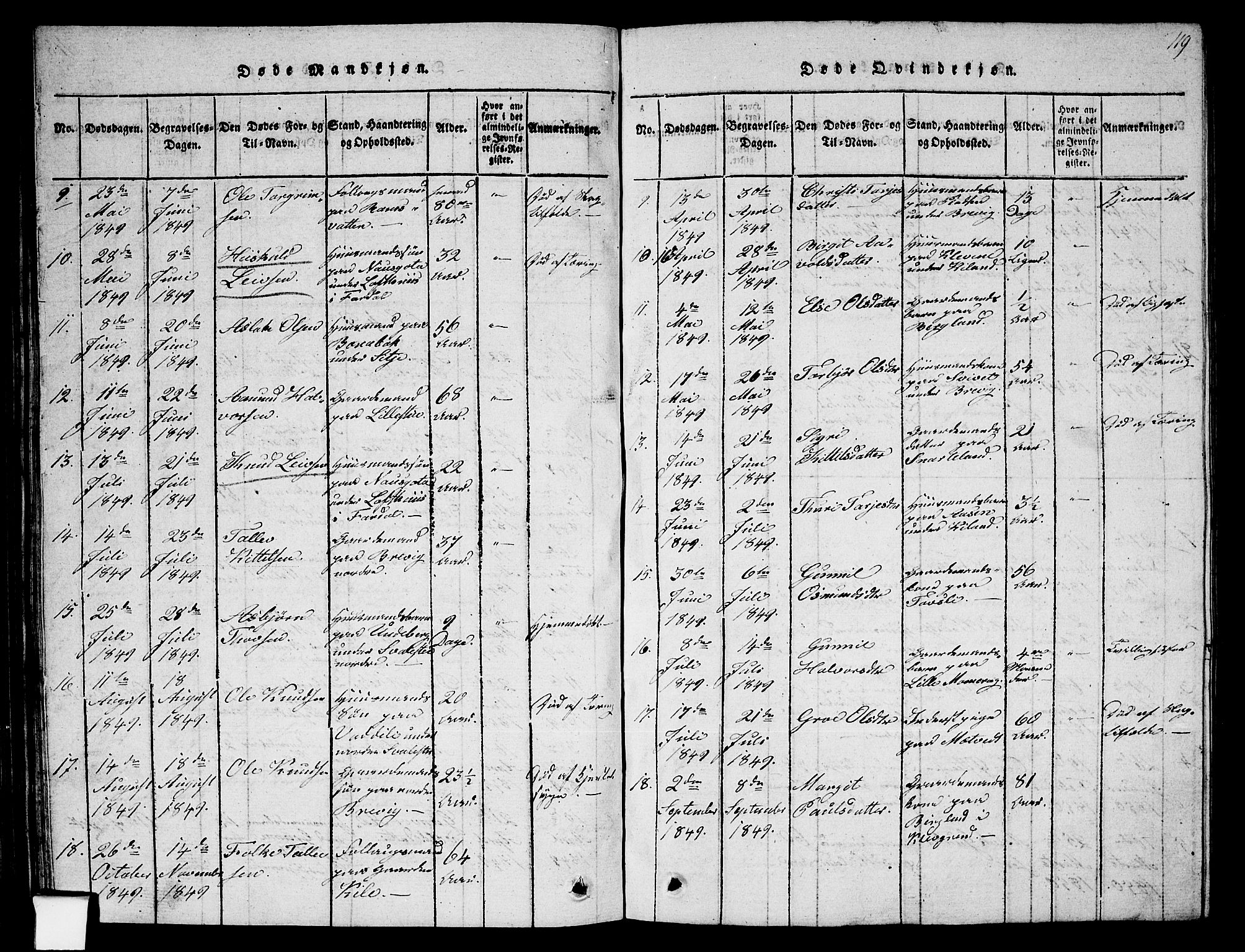Fyresdal kirkebøker, SAKO/A-263/G/Ga/L0002: Parish register (copy) no. I 2, 1815-1857, p. 119