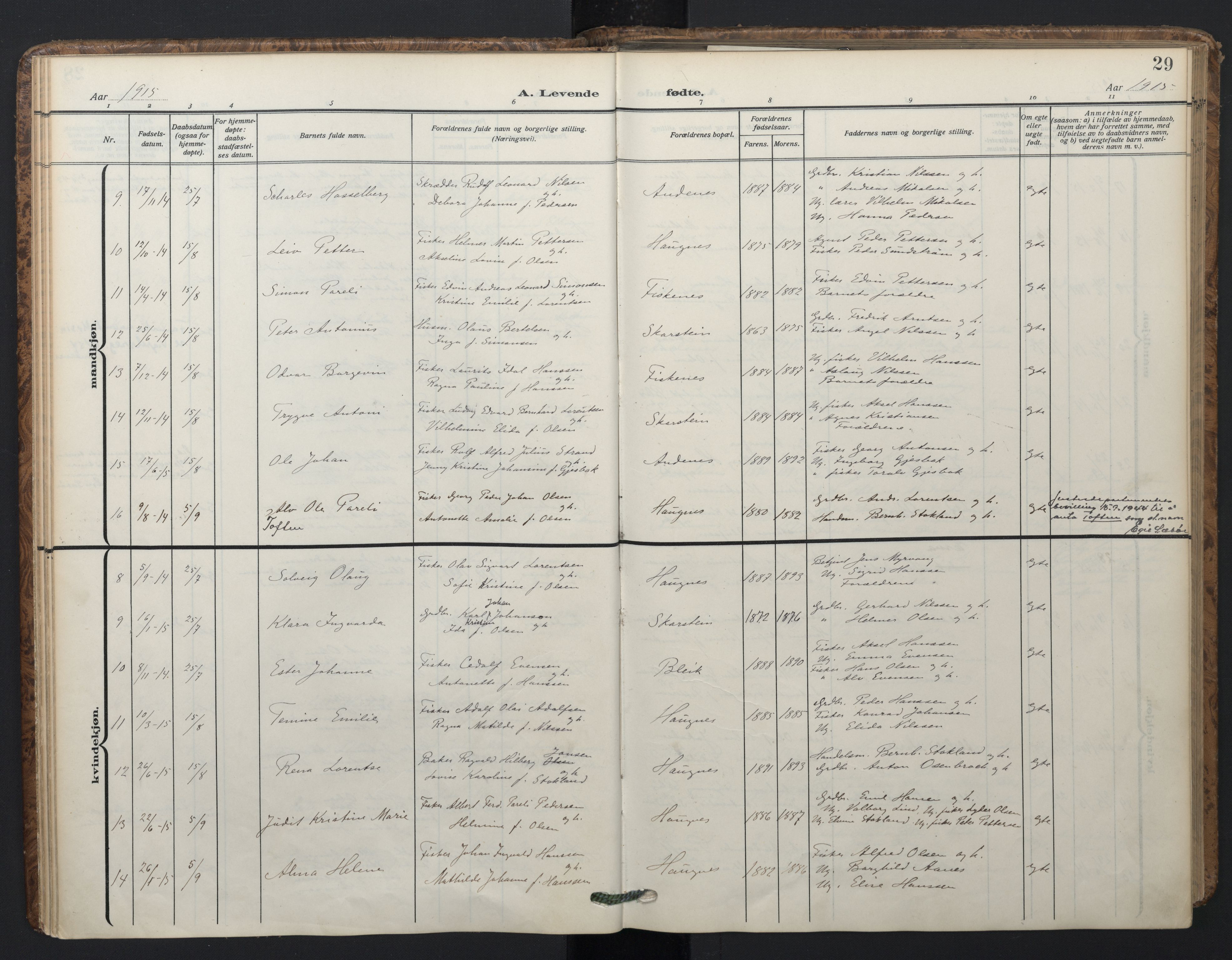 Ministerialprotokoller, klokkerbøker og fødselsregistre - Nordland, AV/SAT-A-1459/899/L1438: Parish register (official) no. 899A06, 1909-1922, p. 29