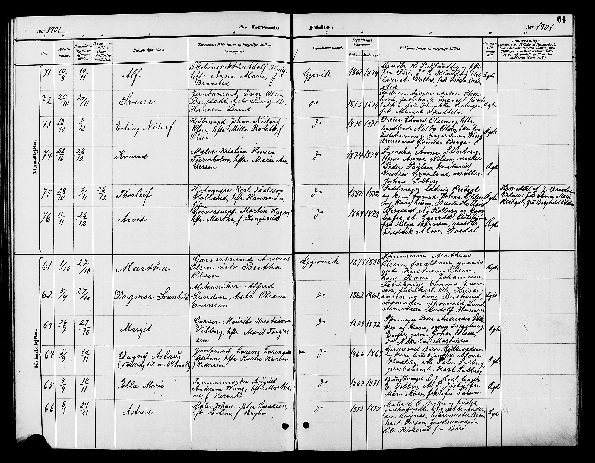 Vardal prestekontor, AV/SAH-PREST-100/H/Ha/Hab/L0009: Parish register (copy) no. 9, 1894-1902, p. 64