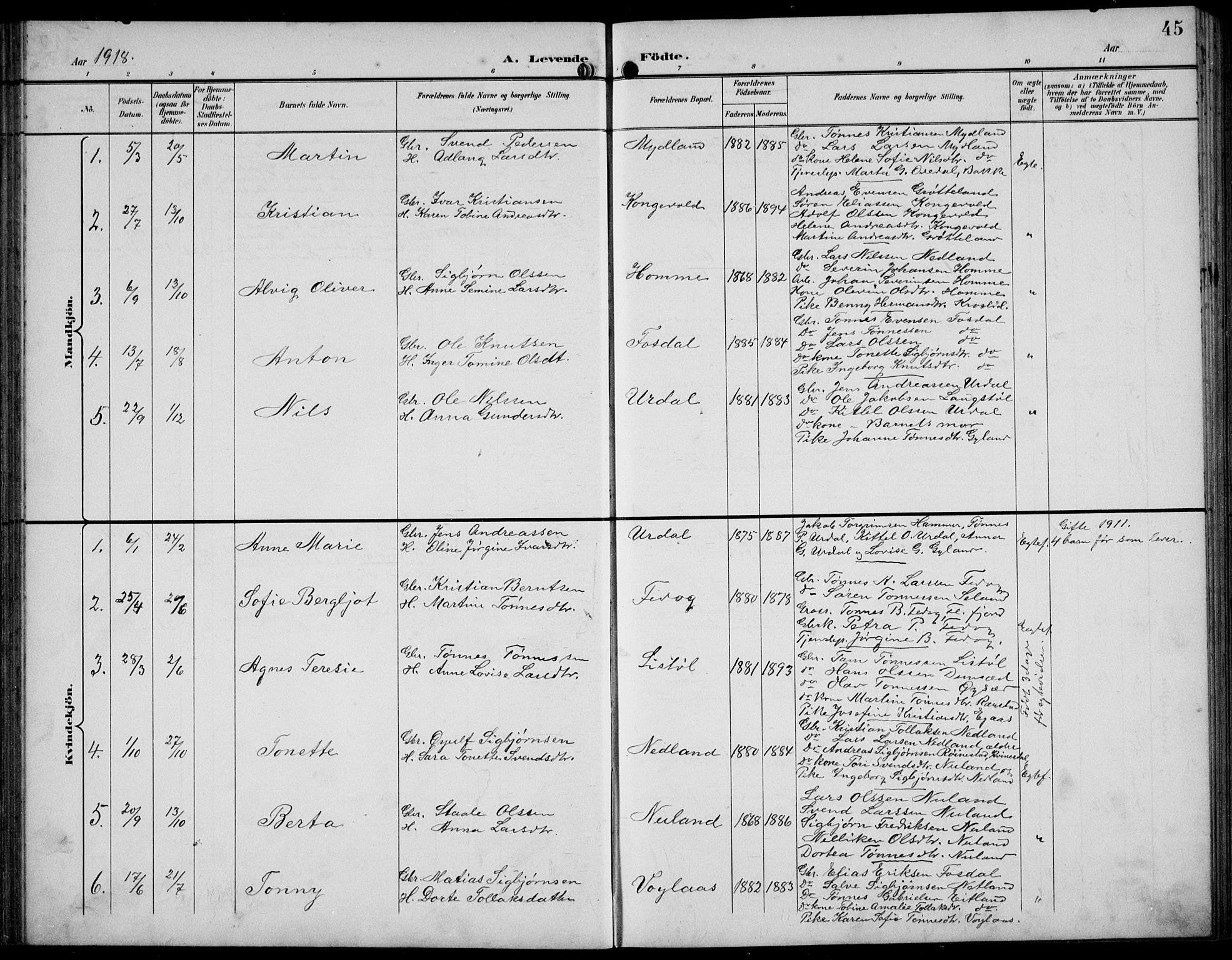 Bakke sokneprestkontor, AV/SAK-1111-0002/F/Fb/Fbb/L0004: Parish register (copy) no. B 4, 1896-1927, p. 45