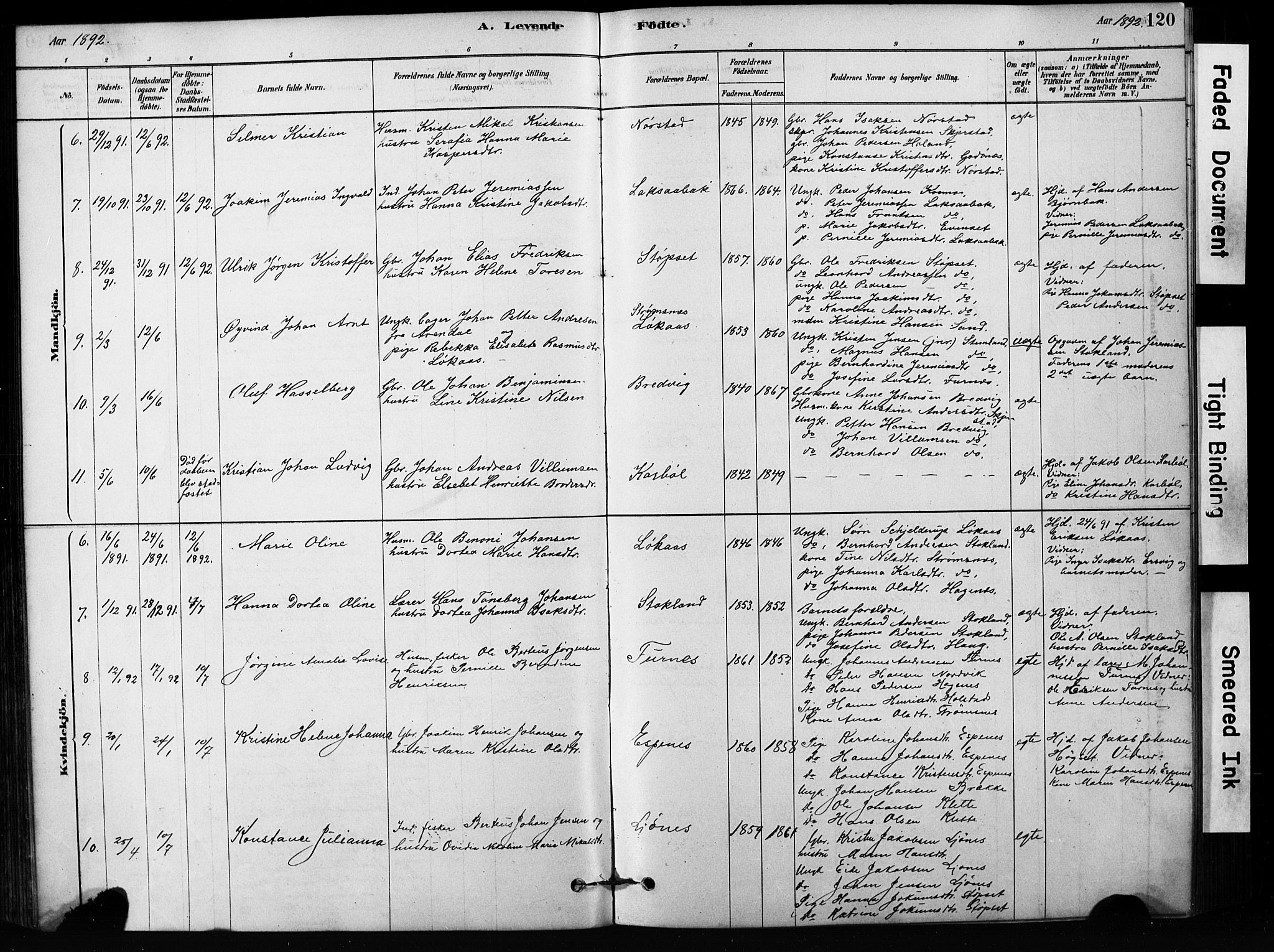 Ministerialprotokoller, klokkerbøker og fødselsregistre - Nordland, AV/SAT-A-1459/852/L0754: Parish register (copy) no. 852C05, 1878-1894, p. 120