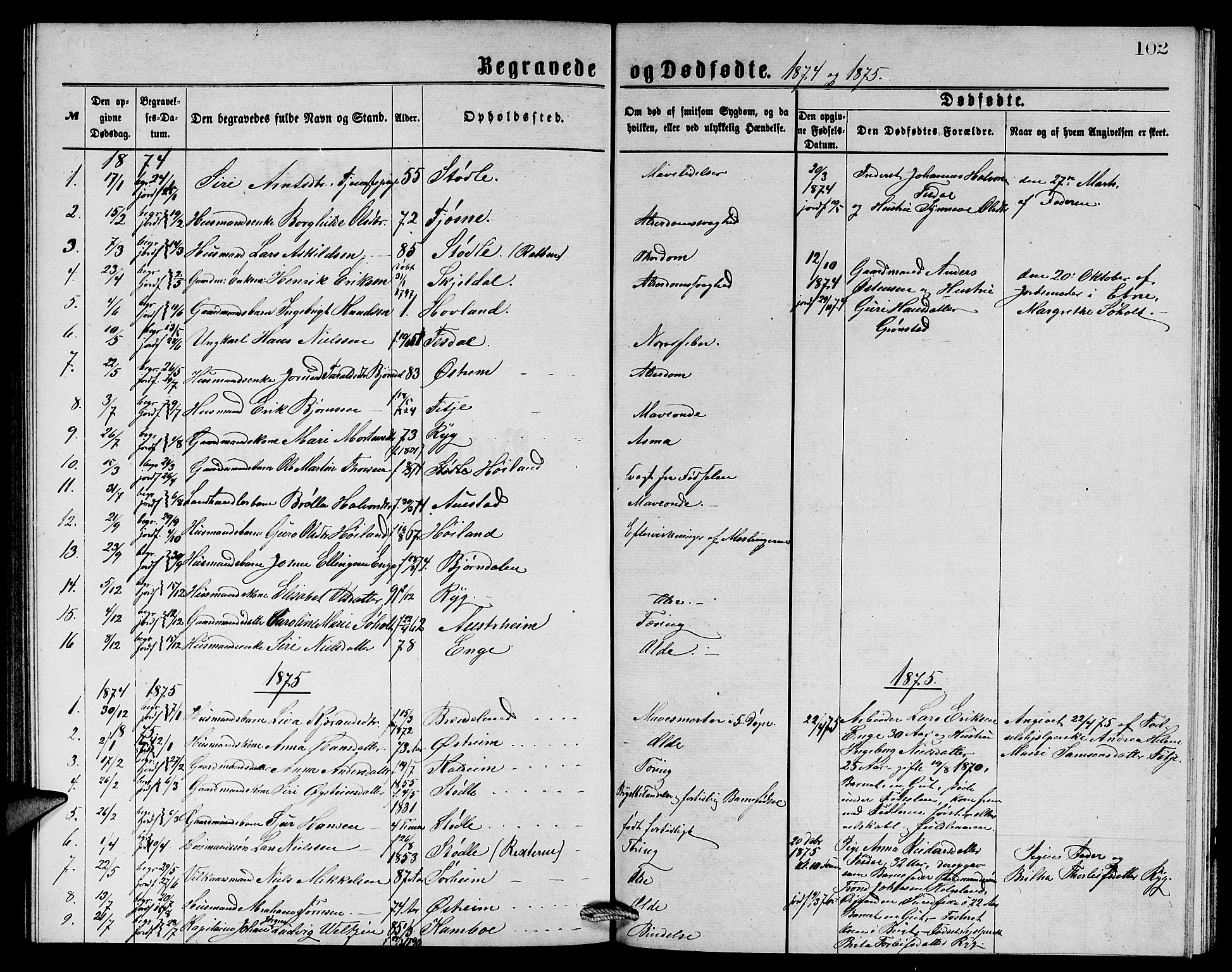 Etne sokneprestembete, SAB/A-75001/H/Hab: Parish register (copy) no. A 4, 1874-1878, p. 102