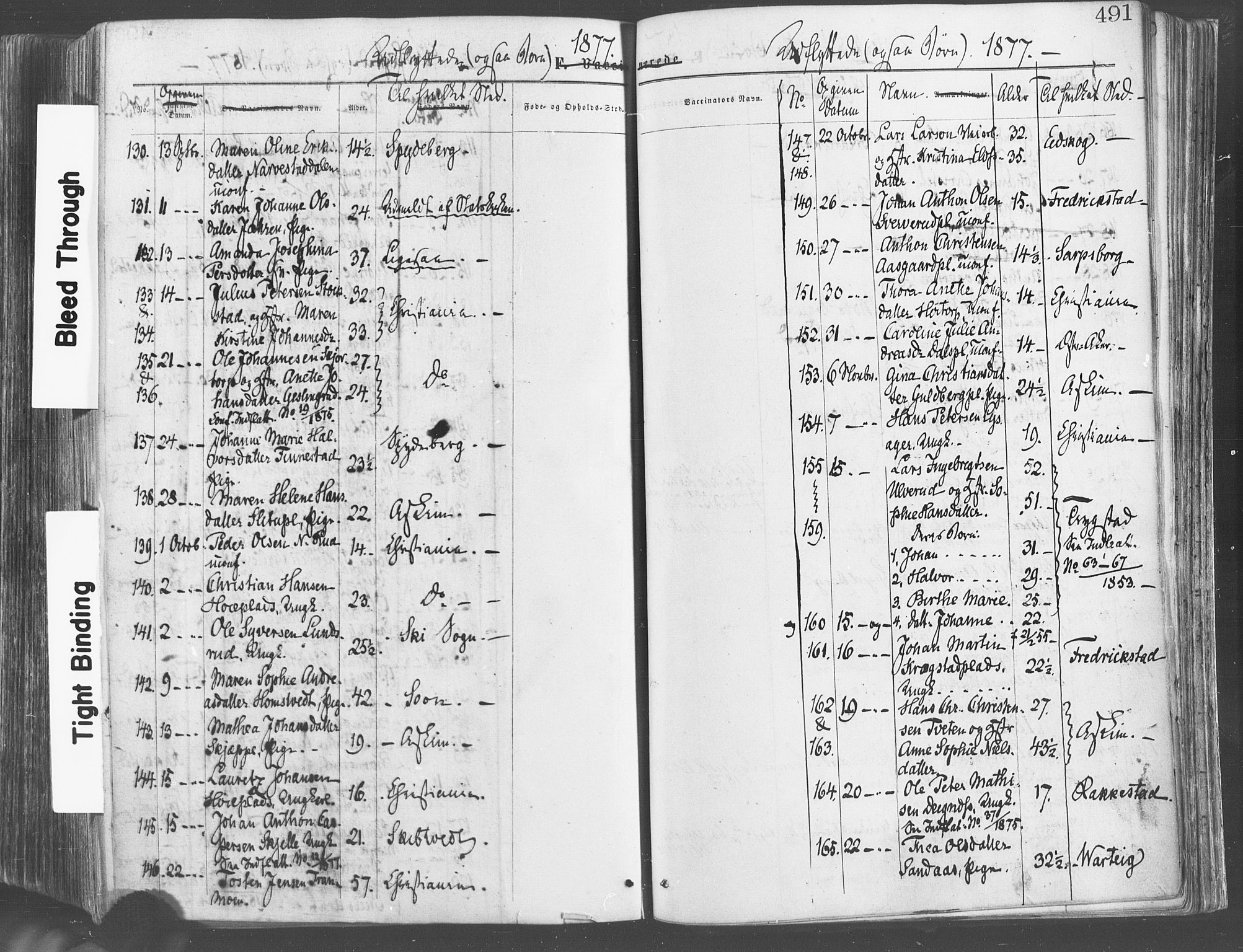 Eidsberg prestekontor Kirkebøker, AV/SAO-A-10905/F/Fa/L0011: Parish register (official) no. I 11, 1867-1878, p. 491