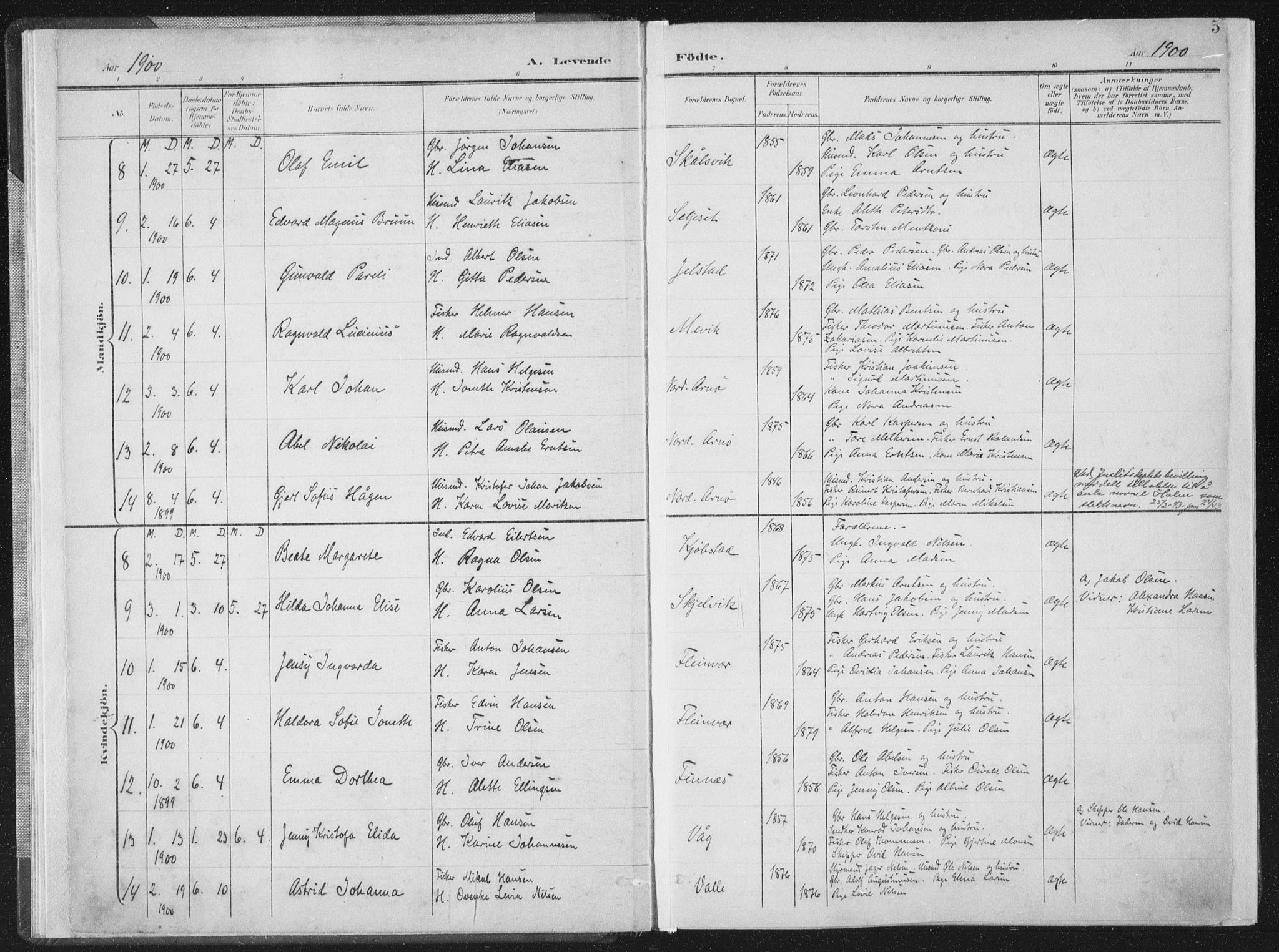 Ministerialprotokoller, klokkerbøker og fødselsregistre - Nordland, SAT/A-1459/805/L0102: Parish register (official) no. 805A08I, 1900-1909, p. 5