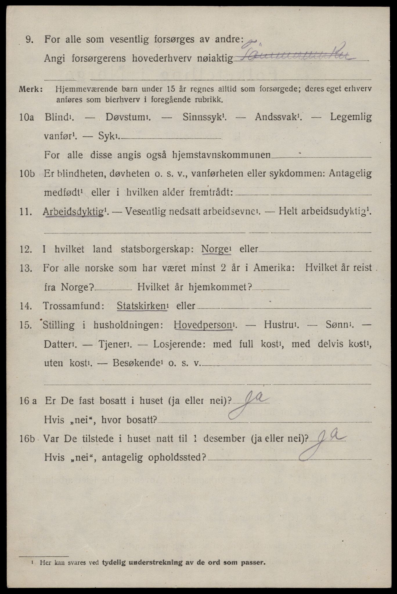 SAKO, 1920 census for Nissedal, 1920, p. 3040