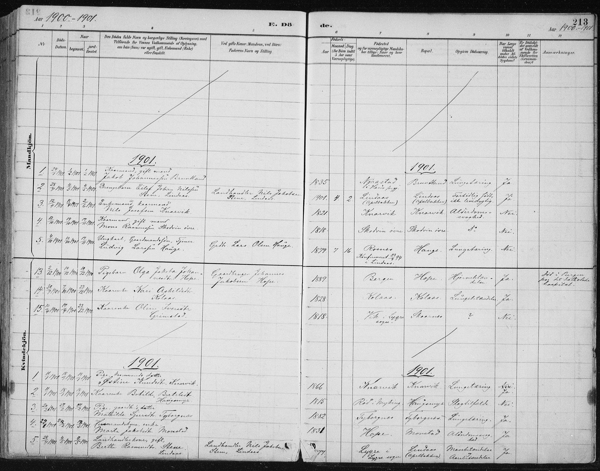 Lindås Sokneprestembete, SAB/A-76701/H/Hab: Parish register (copy) no. B 3, 1886-1914, p. 213