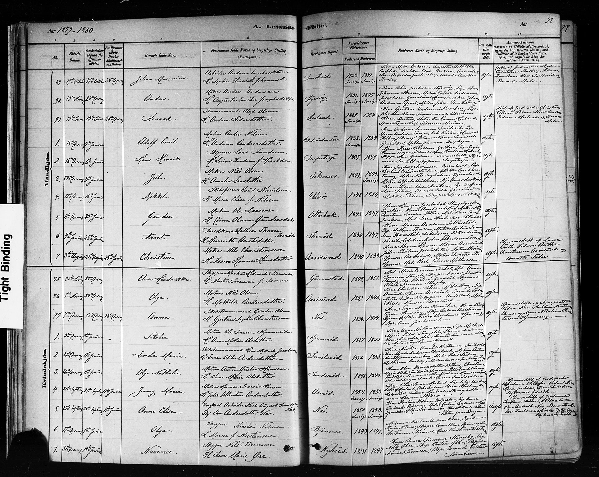 Nøtterøy kirkebøker, SAKO/A-354/F/Fa/L0008: Parish register (official) no. I 8, 1878-1893, p. 22