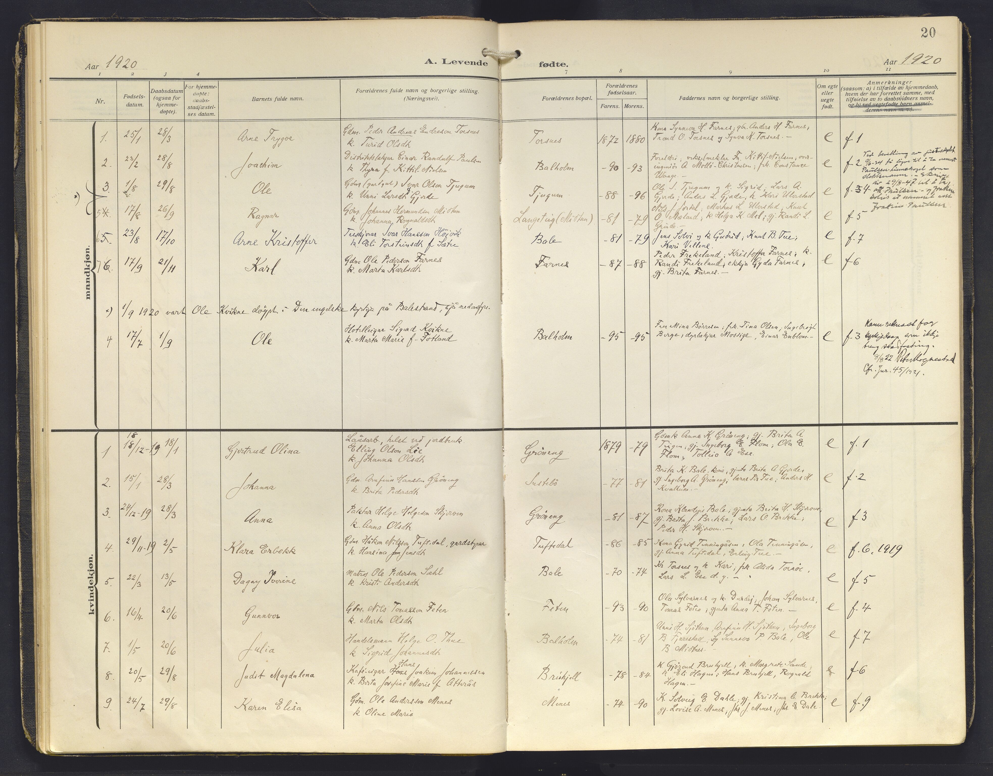 Balestrand sokneprestembete, AV/SAB-A-79601/H/Haa/Haab/L0002: Parish register (official) no. B 2, 1911-1932, p. 20