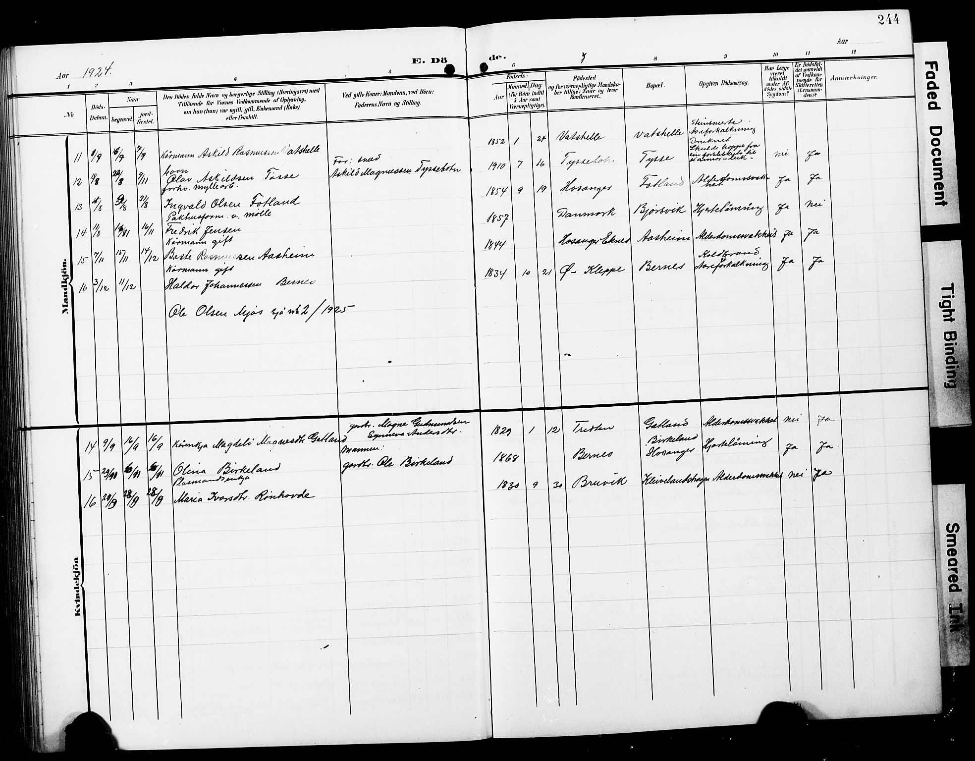 Hosanger sokneprestembete, AV/SAB-A-75801/H/Hab: Parish register (copy) no. A 4, 1904-1927, p. 244