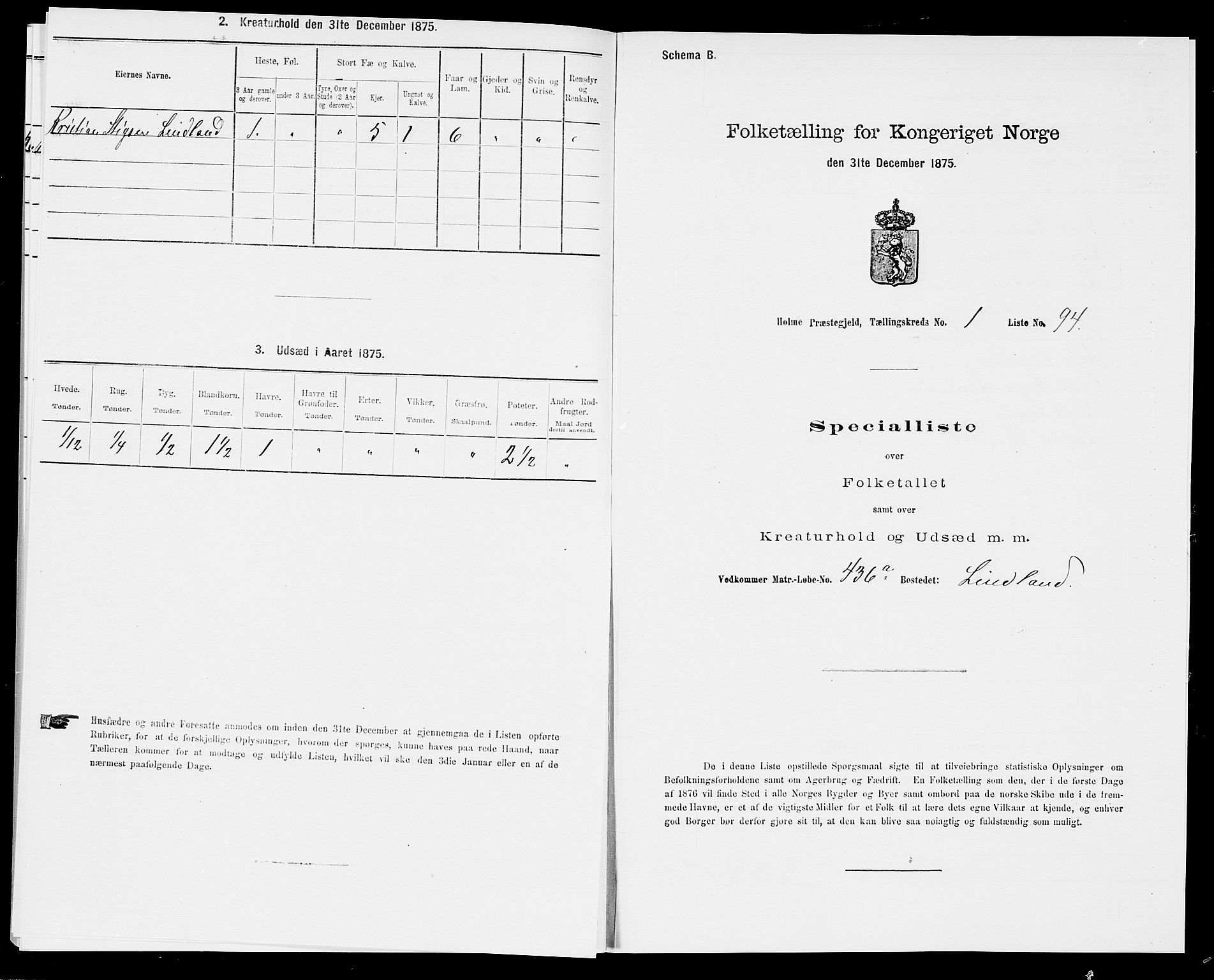 SAK, 1875 census for 1020P Holum, 1875, p. 238