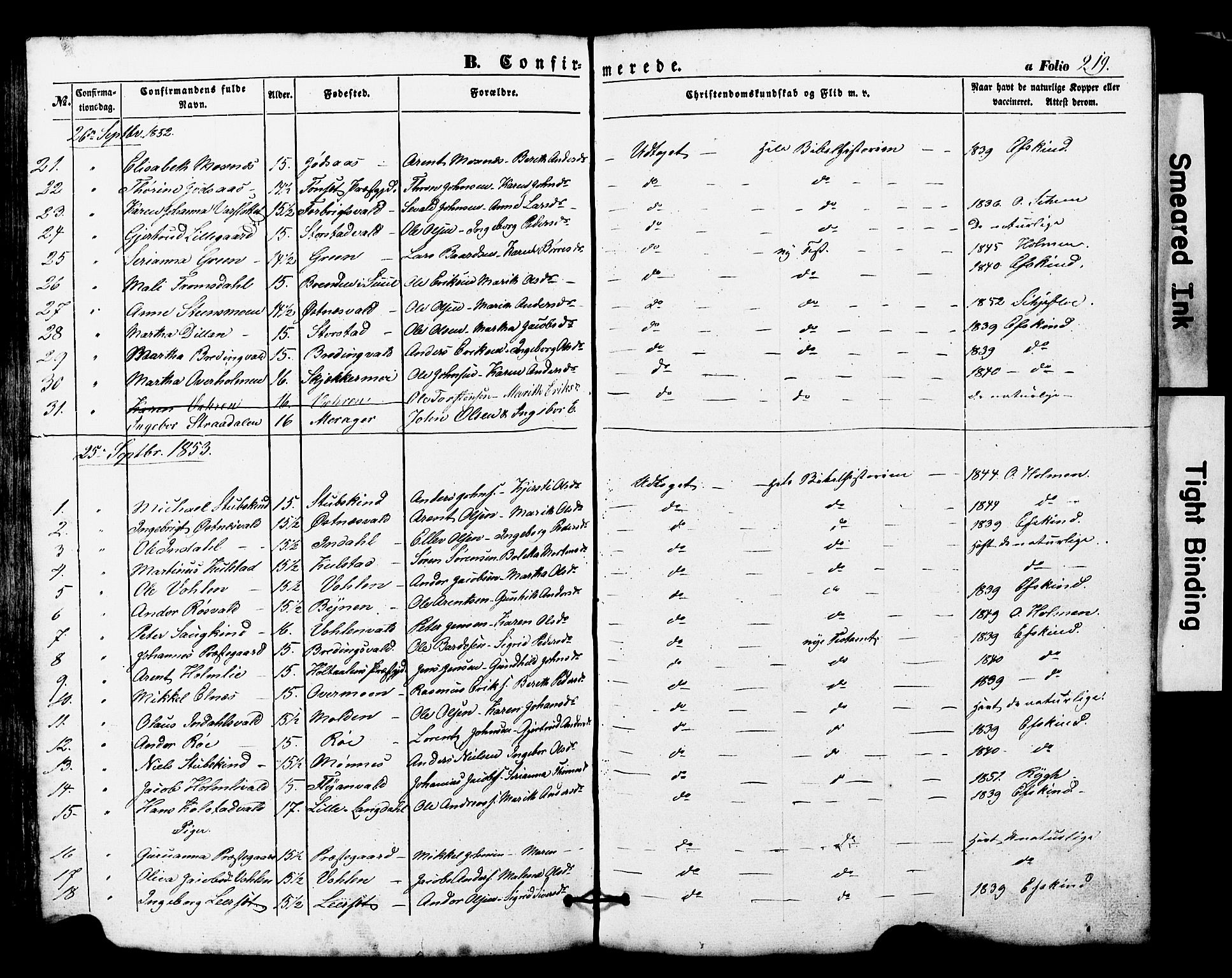 Ministerialprotokoller, klokkerbøker og fødselsregistre - Nord-Trøndelag, AV/SAT-A-1458/724/L0268: Parish register (copy) no. 724C04, 1846-1878, p. 219