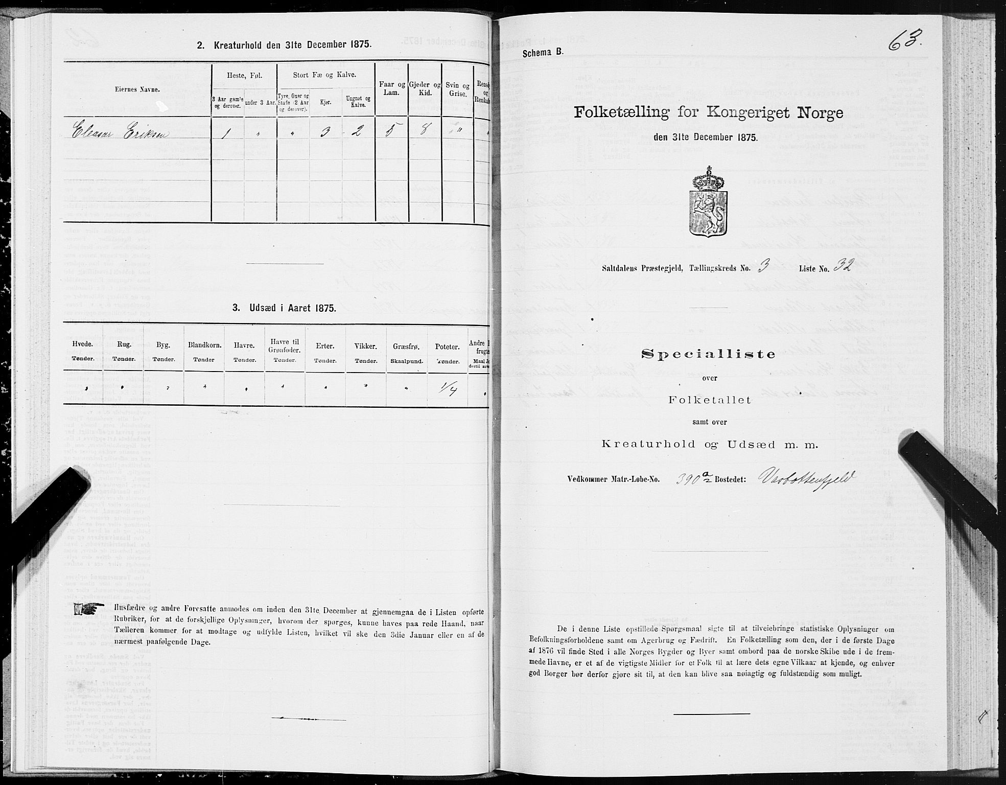 SAT, 1875 census for 1840P Saltdal, 1875, p. 2063