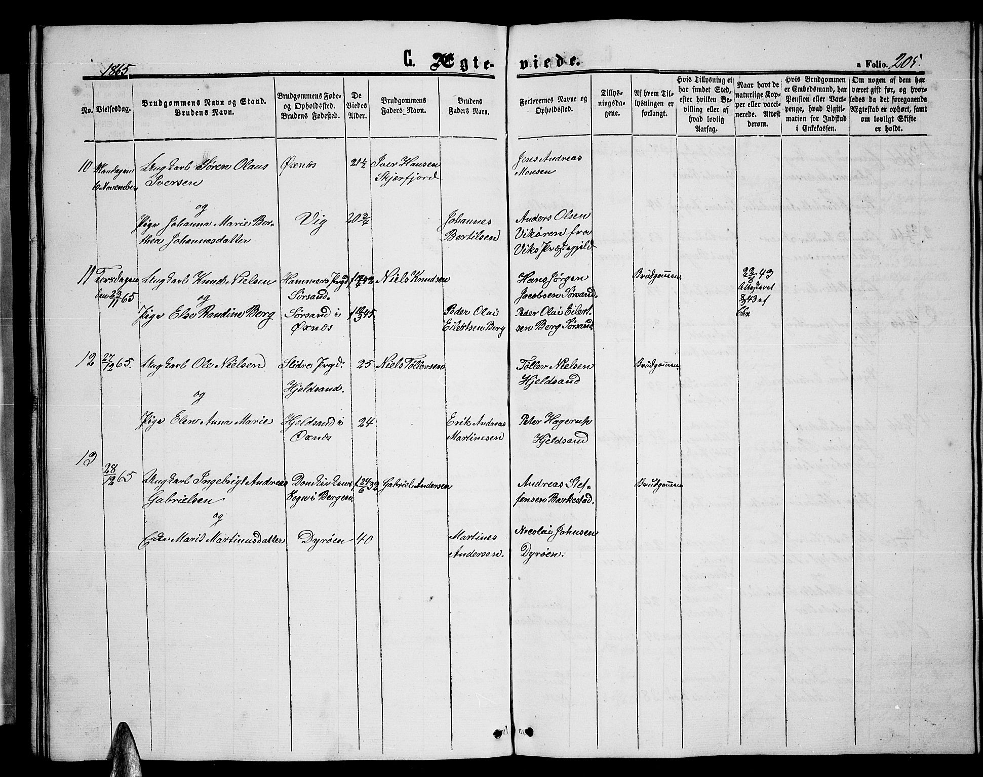 Ministerialprotokoller, klokkerbøker og fødselsregistre - Nordland, AV/SAT-A-1459/893/L1347: Parish register (copy) no. 893C02, 1858-1866, p. 205