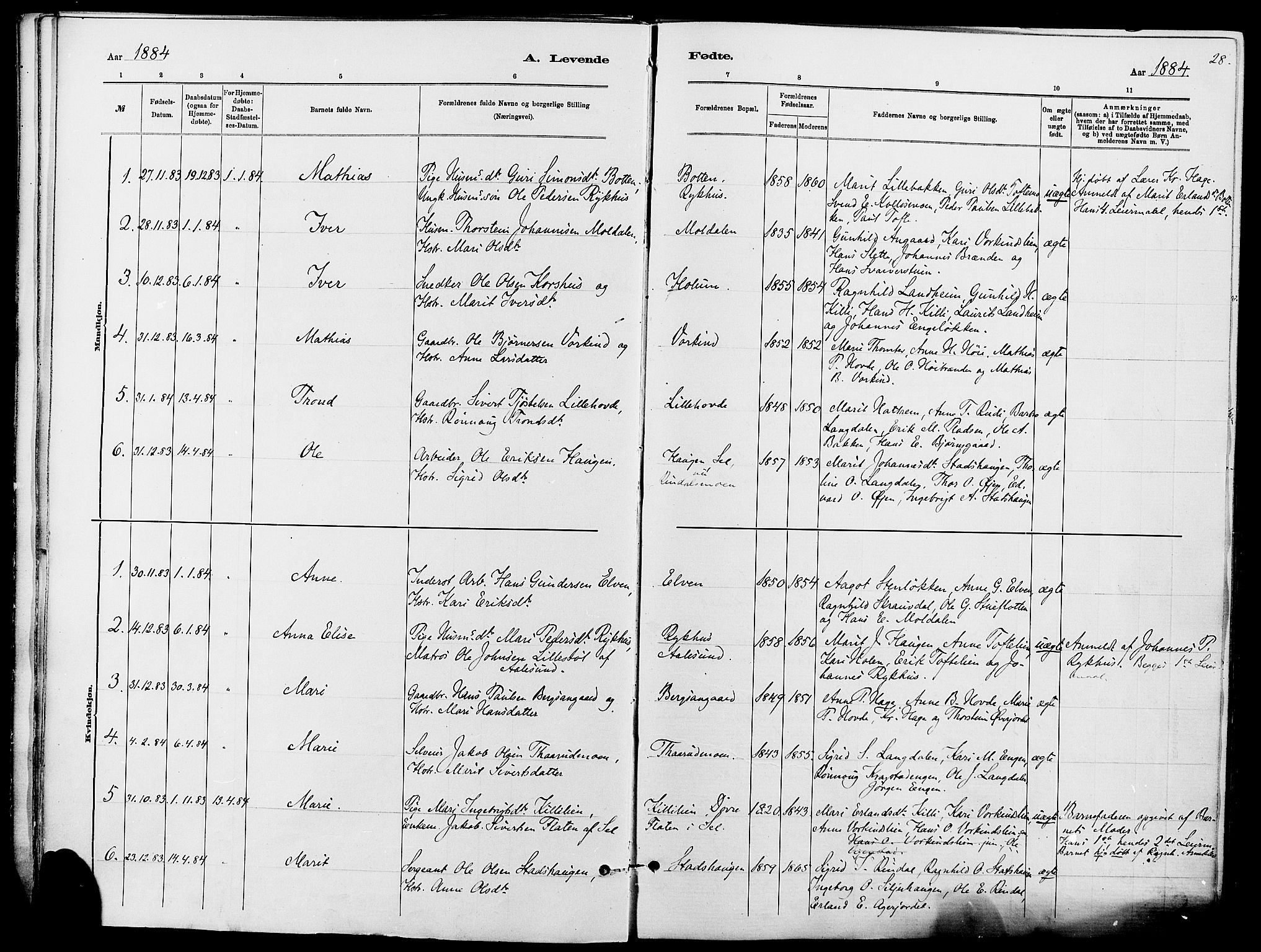Dovre prestekontor, SAH/PREST-066/H/Ha/Haa/L0002: Parish register (official) no. 2, 1879-1890, p. 28