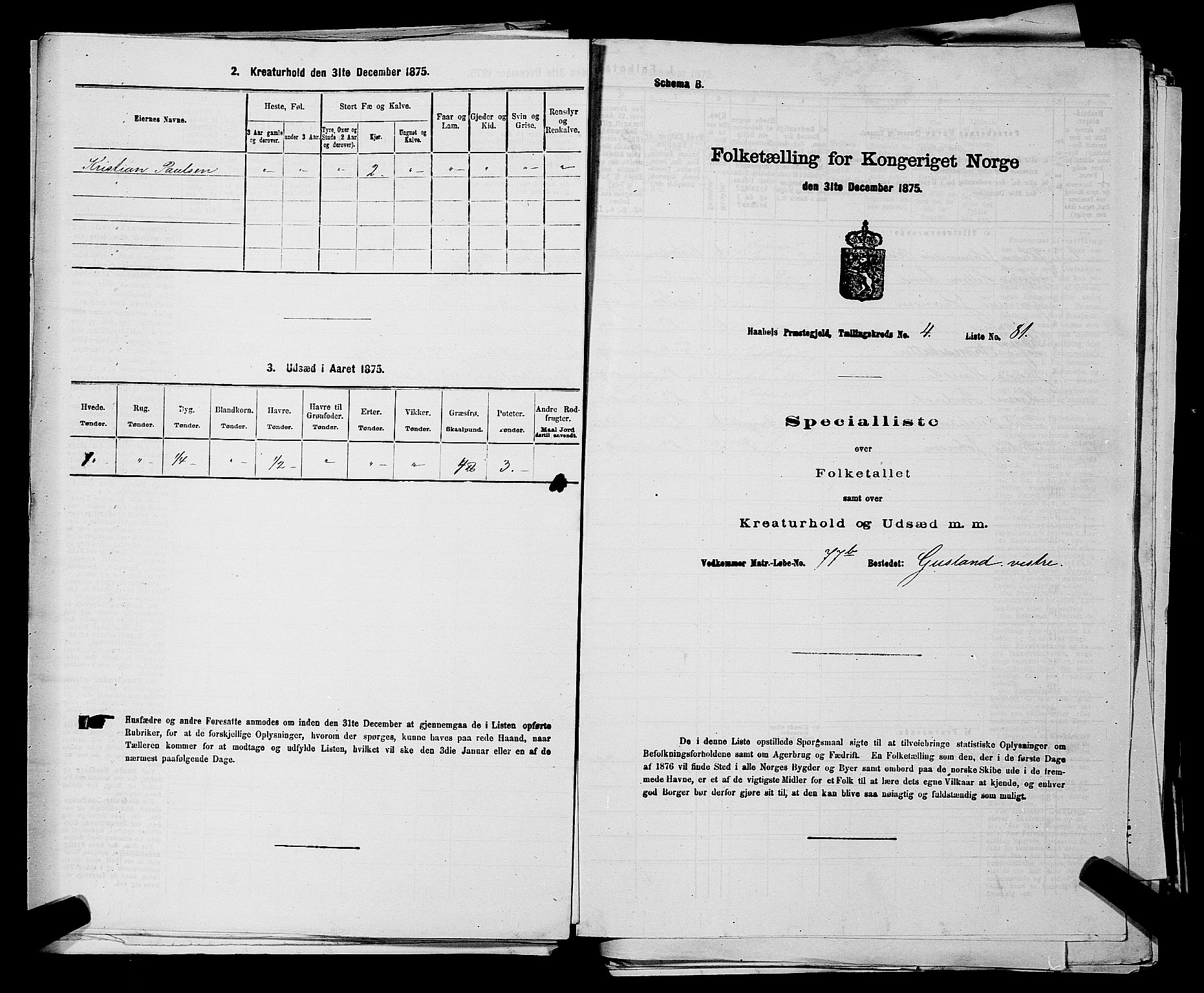 RA, 1875 census for 0138P Hobøl, 1875, p. 738