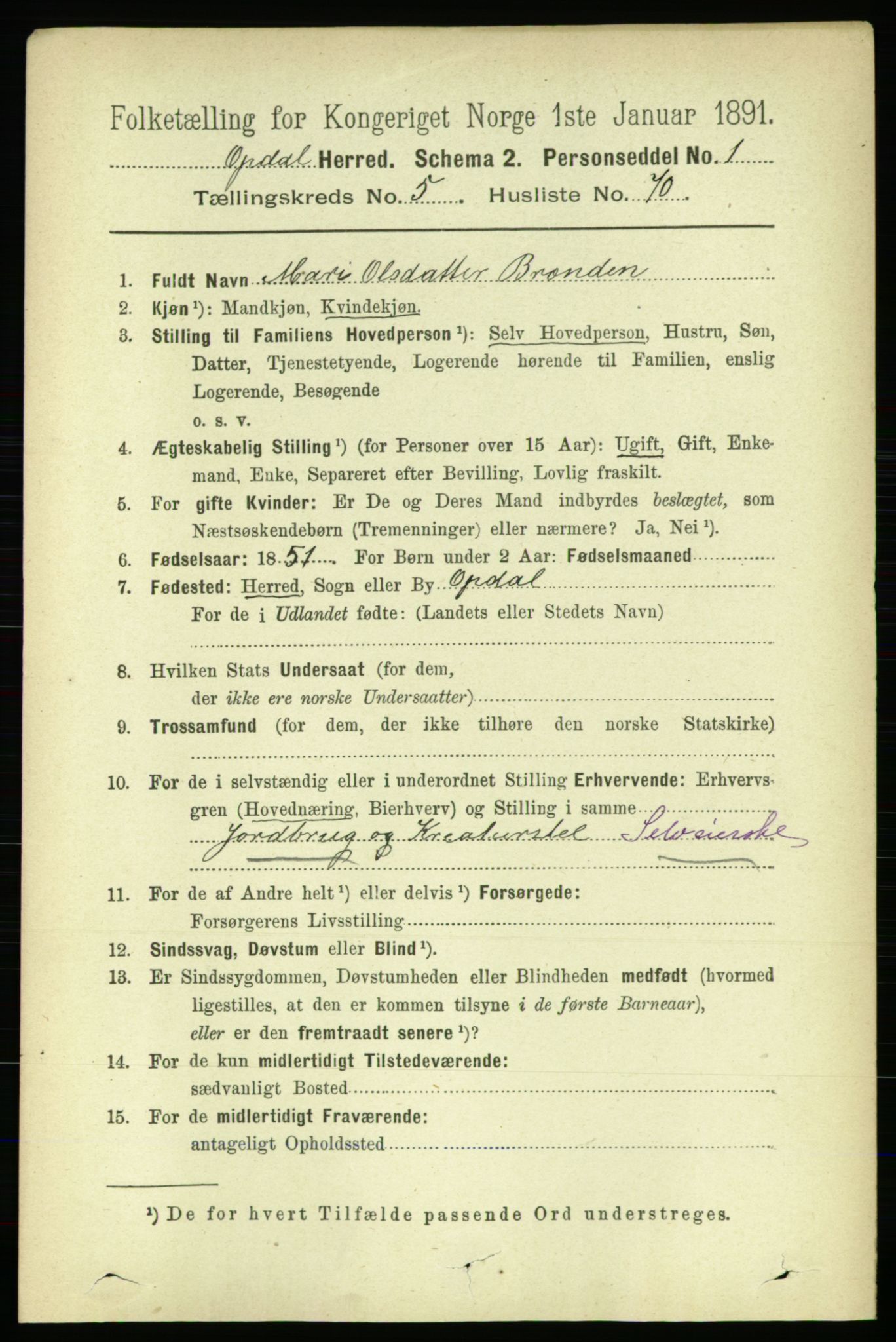 RA, 1891 census for 1634 Oppdal, 1891, p. 2663