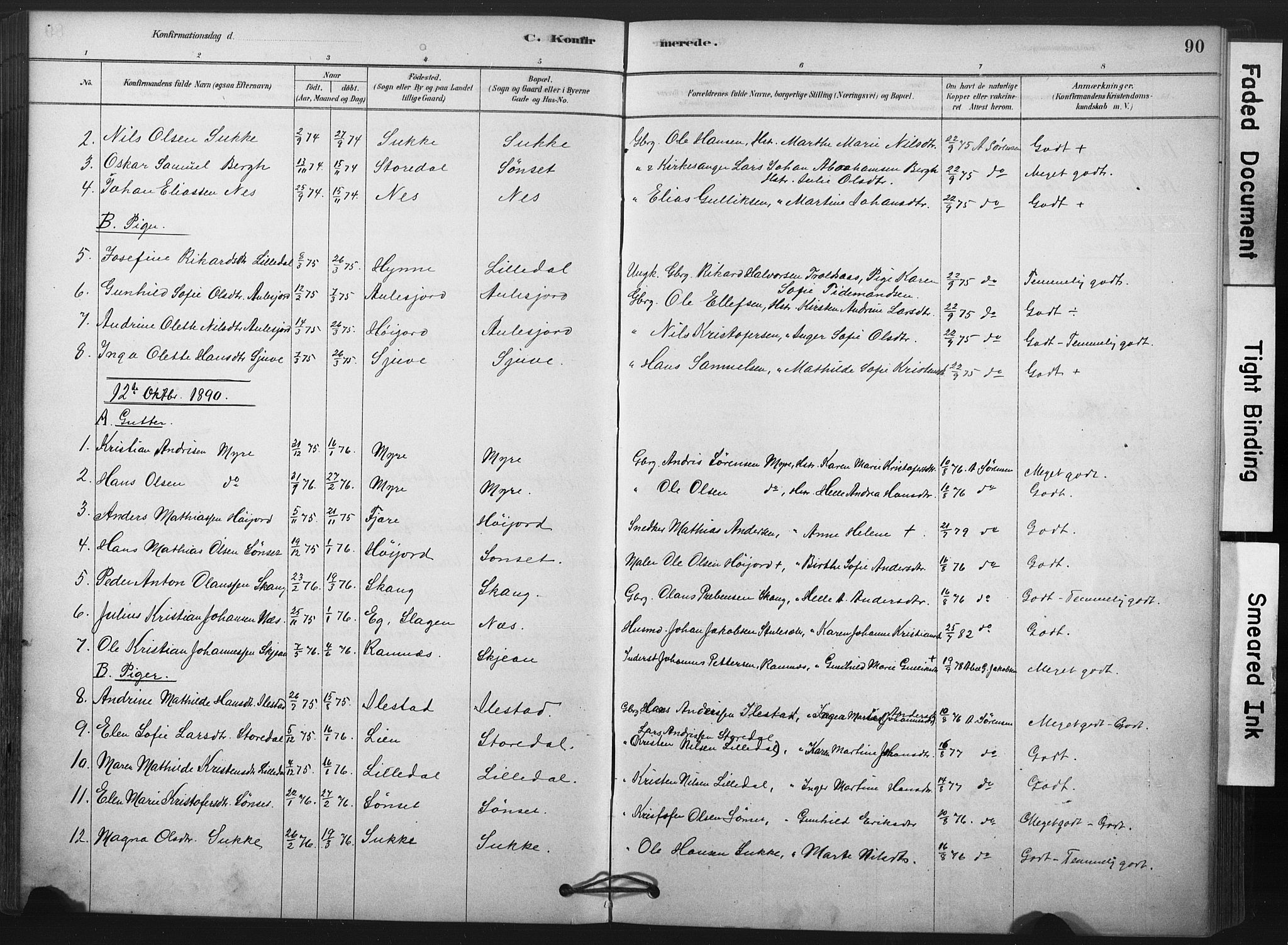 Andebu kirkebøker, SAKO/A-336/F/Fa/L0009: Parish register (official) no. 9, 1878-1909, p. 90