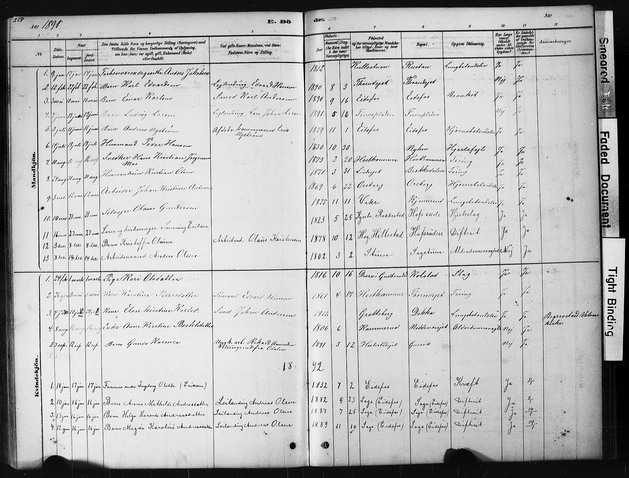 Hof kirkebøker, AV/SAKO-A-64/G/Ga/L0004: Parish register (copy) no. I 4, 1878-1930, p. 265