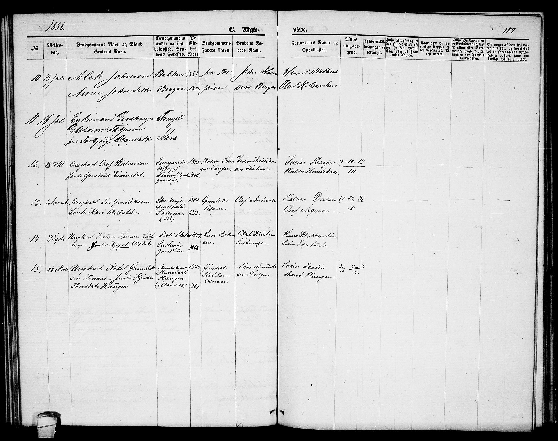 Seljord kirkebøker, AV/SAKO-A-20/G/Ga/L0004: Parish register (copy) no. I 4, 1873-1886, p. 117