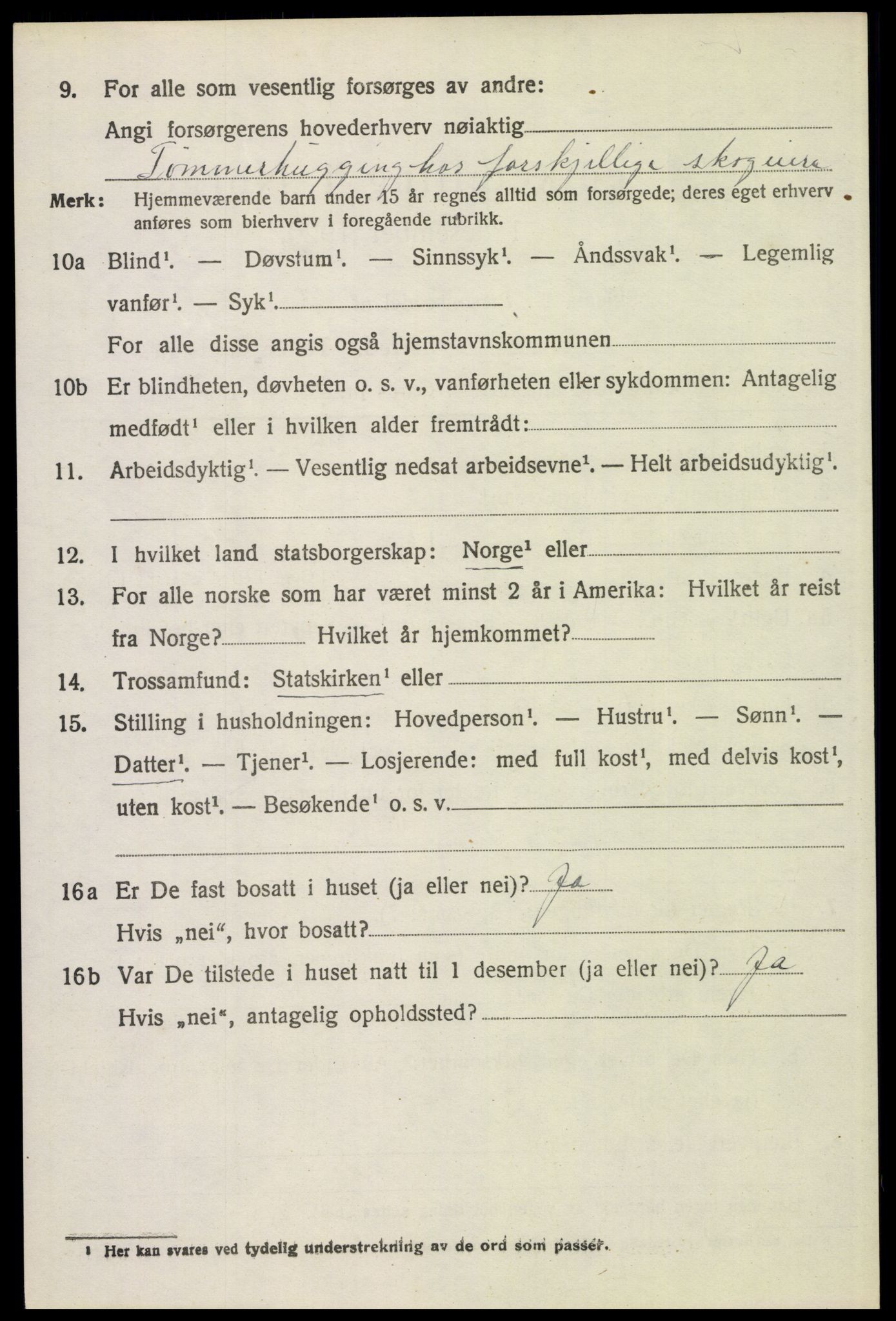 SAH, 1920 census for Trysil, 1920, p. 14652