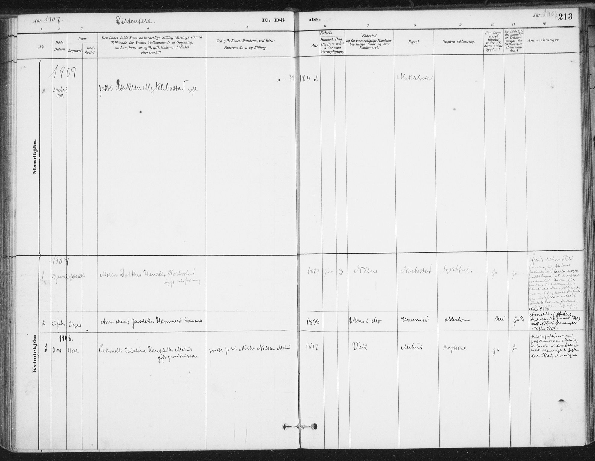 Ministerialprotokoller, klokkerbøker og fødselsregistre - Nordland, AV/SAT-A-1459/838/L0553: Parish register (official) no. 838A11, 1880-1910, p. 213