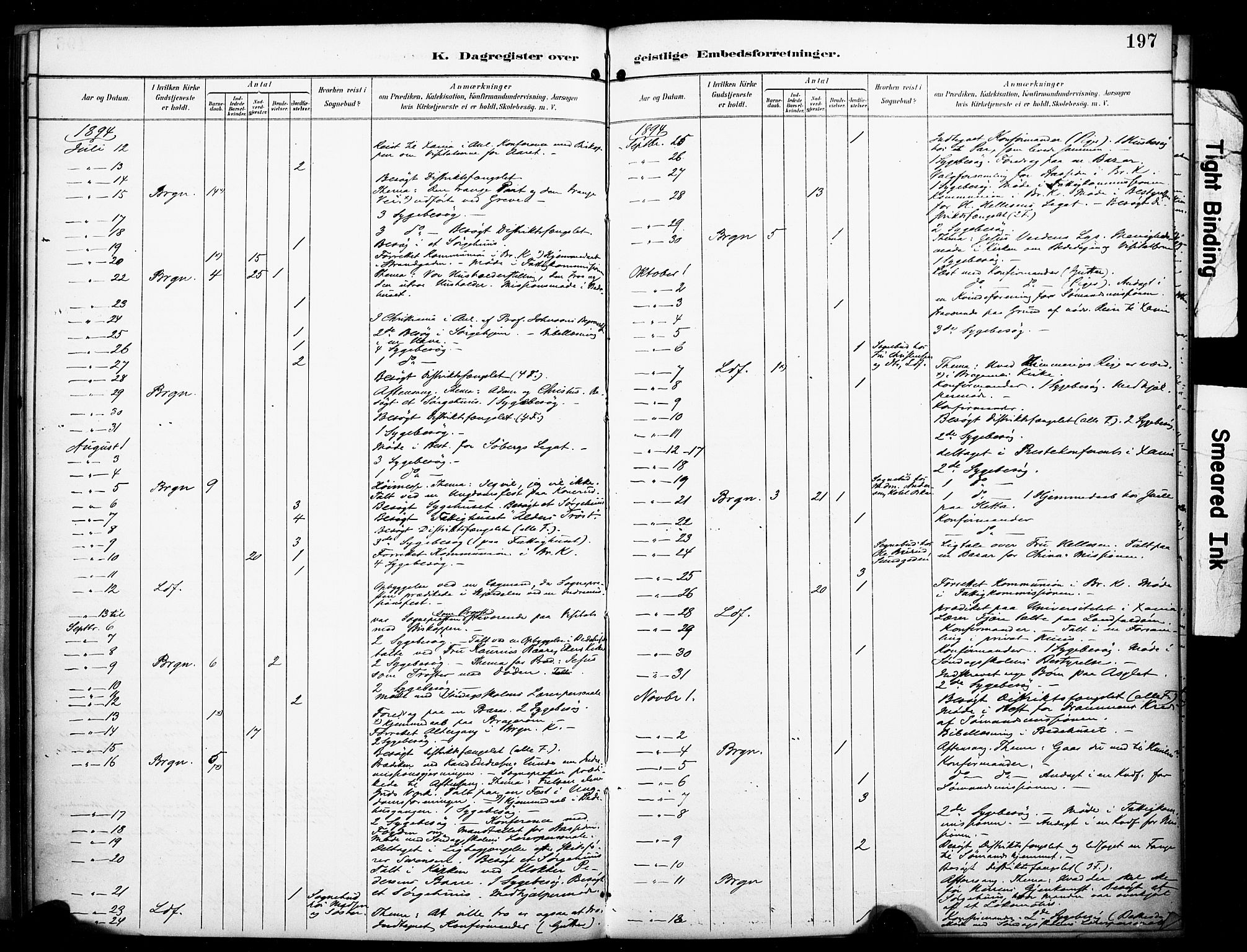 Bragernes kirkebøker, AV/SAKO-A-6/F/Fc/L0006: Parish register (official) no. III 6, 1888-1899, p. 197