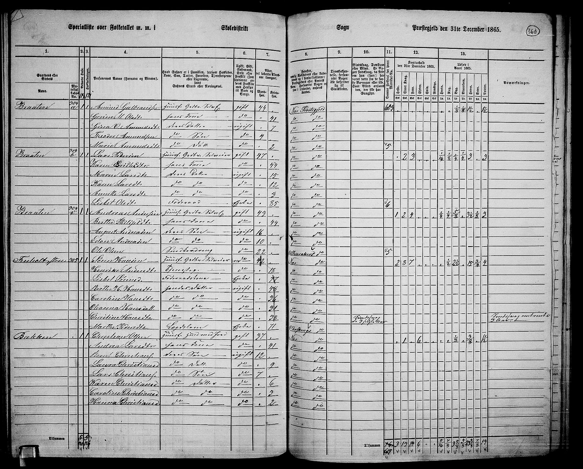 RA, 1865 census for Nes, 1865, p. 331