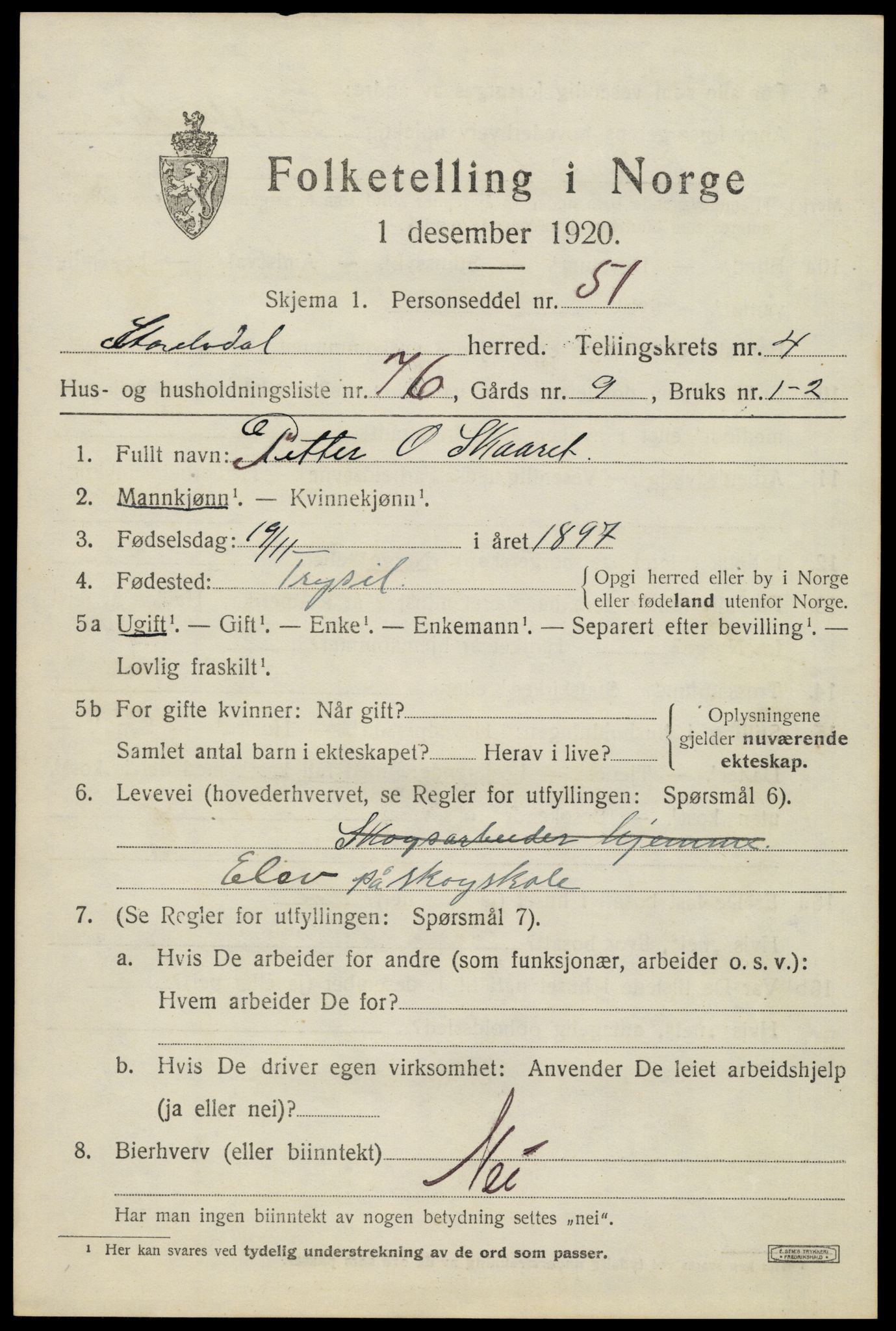 SAH, 1920 census for Stor-Elvdal, 1920, p. 4392