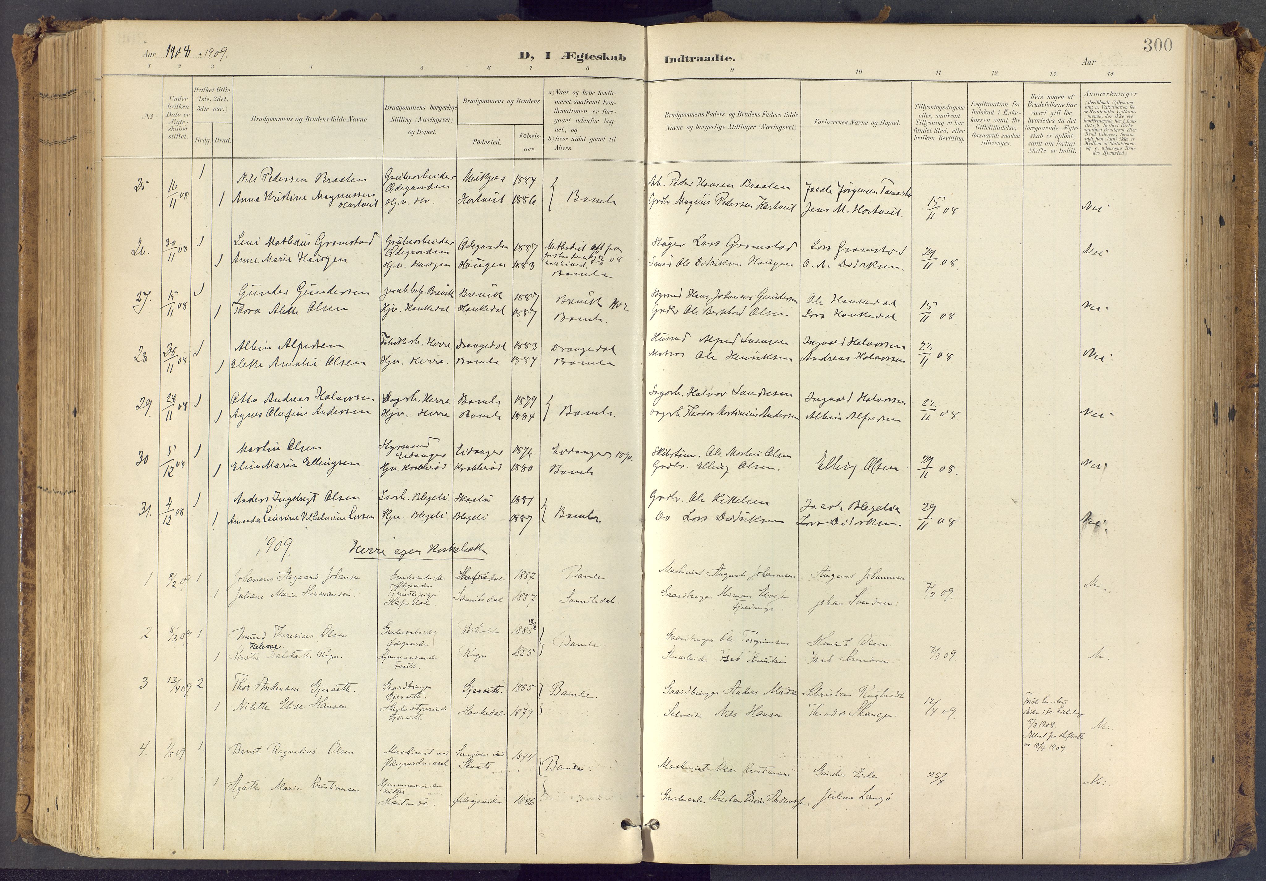 Bamble kirkebøker, SAKO/A-253/F/Fa/L0009: Parish register (official) no. I 9, 1901-1917, p. 300
