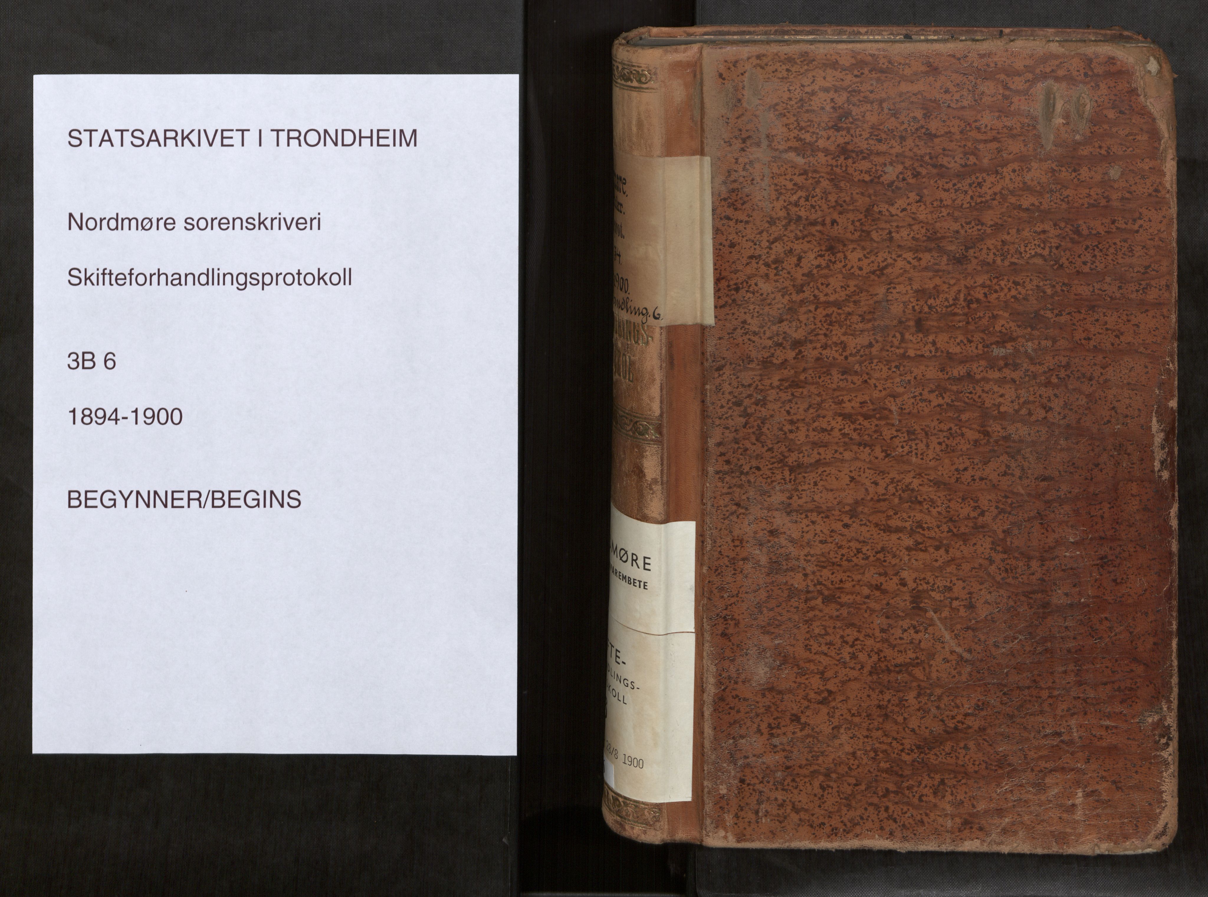 Nordmøre sorenskriveri, AV/SAT-A-4132/1/3/3B/L0006: Forhandlingsprotokoll nr. 06, 1894-1900