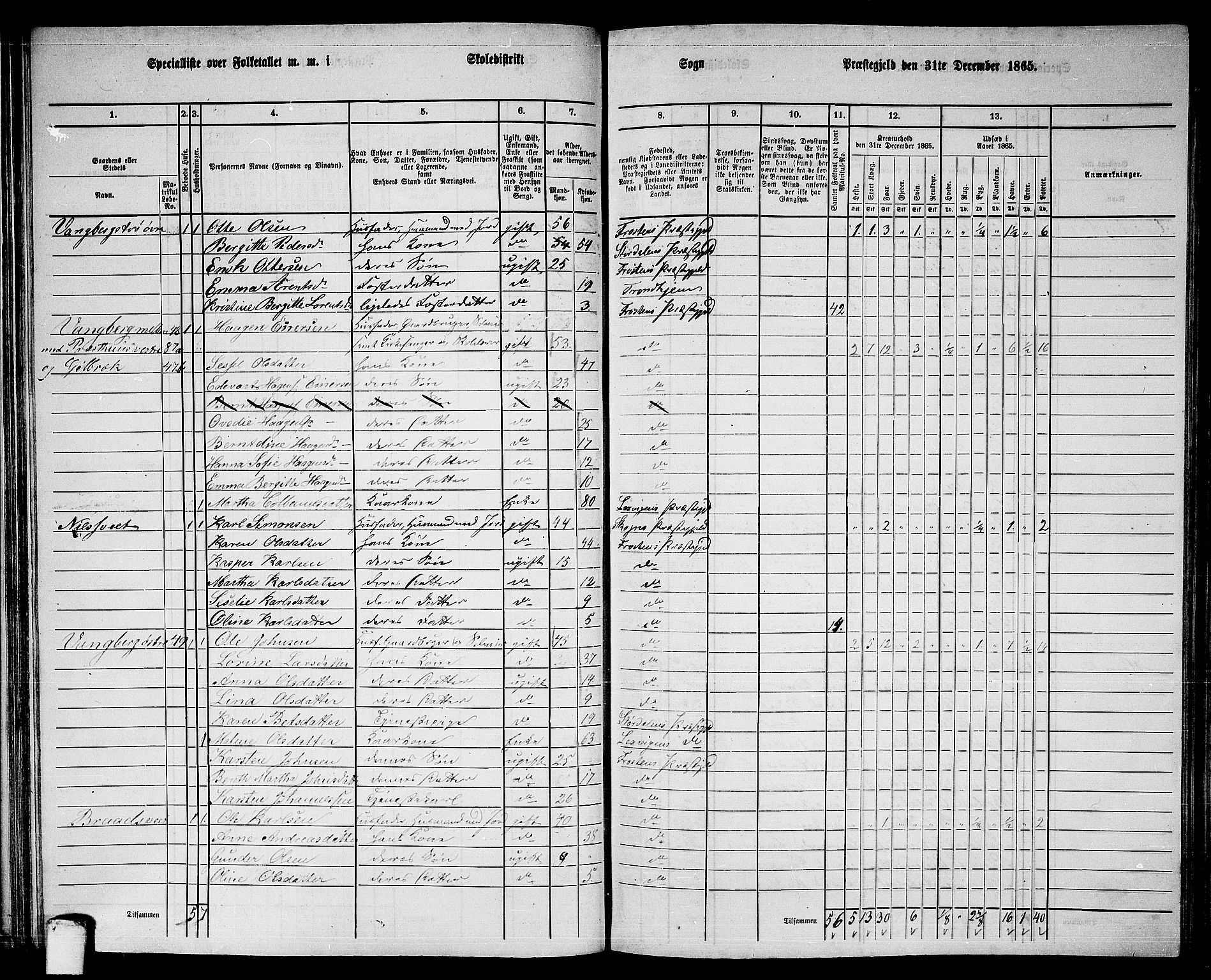 RA, 1865 census for Frosta, 1865, p. 67