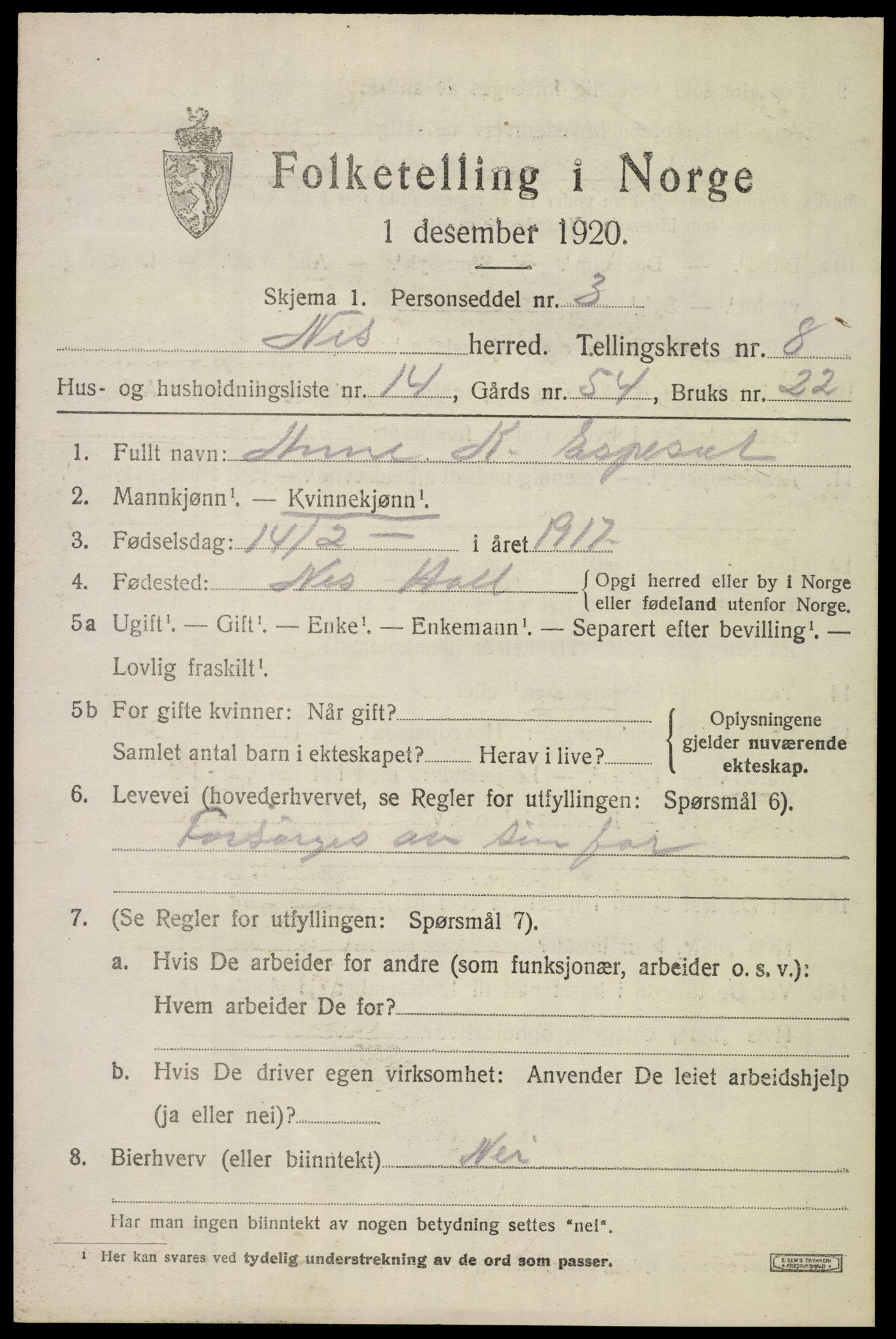 SAKO, 1920 census for Nes (Buskerud), 1920, p. 5206