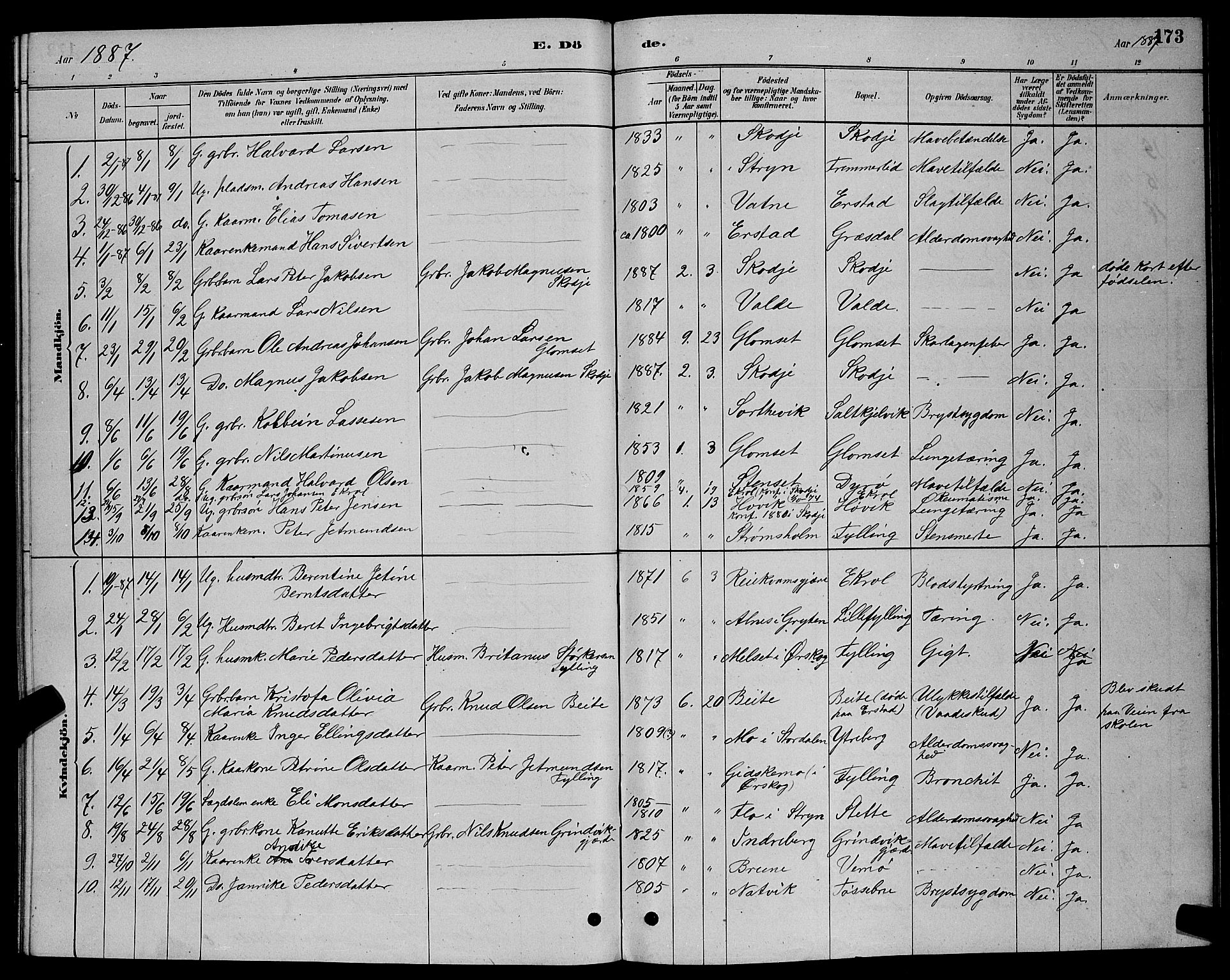 Ministerialprotokoller, klokkerbøker og fødselsregistre - Møre og Romsdal, AV/SAT-A-1454/524/L0365: Parish register (copy) no. 524C06, 1880-1899, p. 173