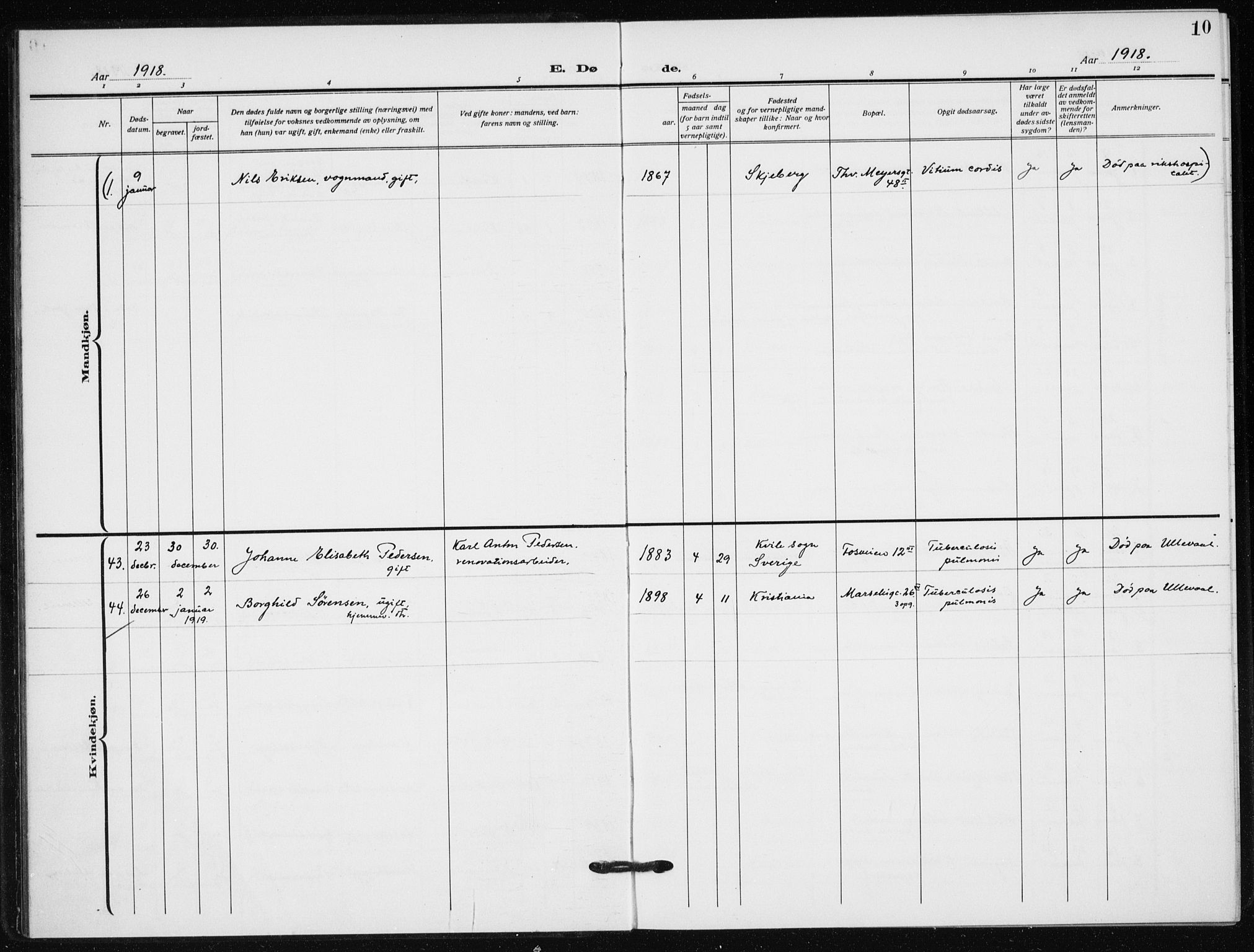 Hauge prestekontor Kirkebøker, AV/SAO-A-10849/F/Fa/L0005: Parish register (official) no. 5, 1917-1938, p. 10