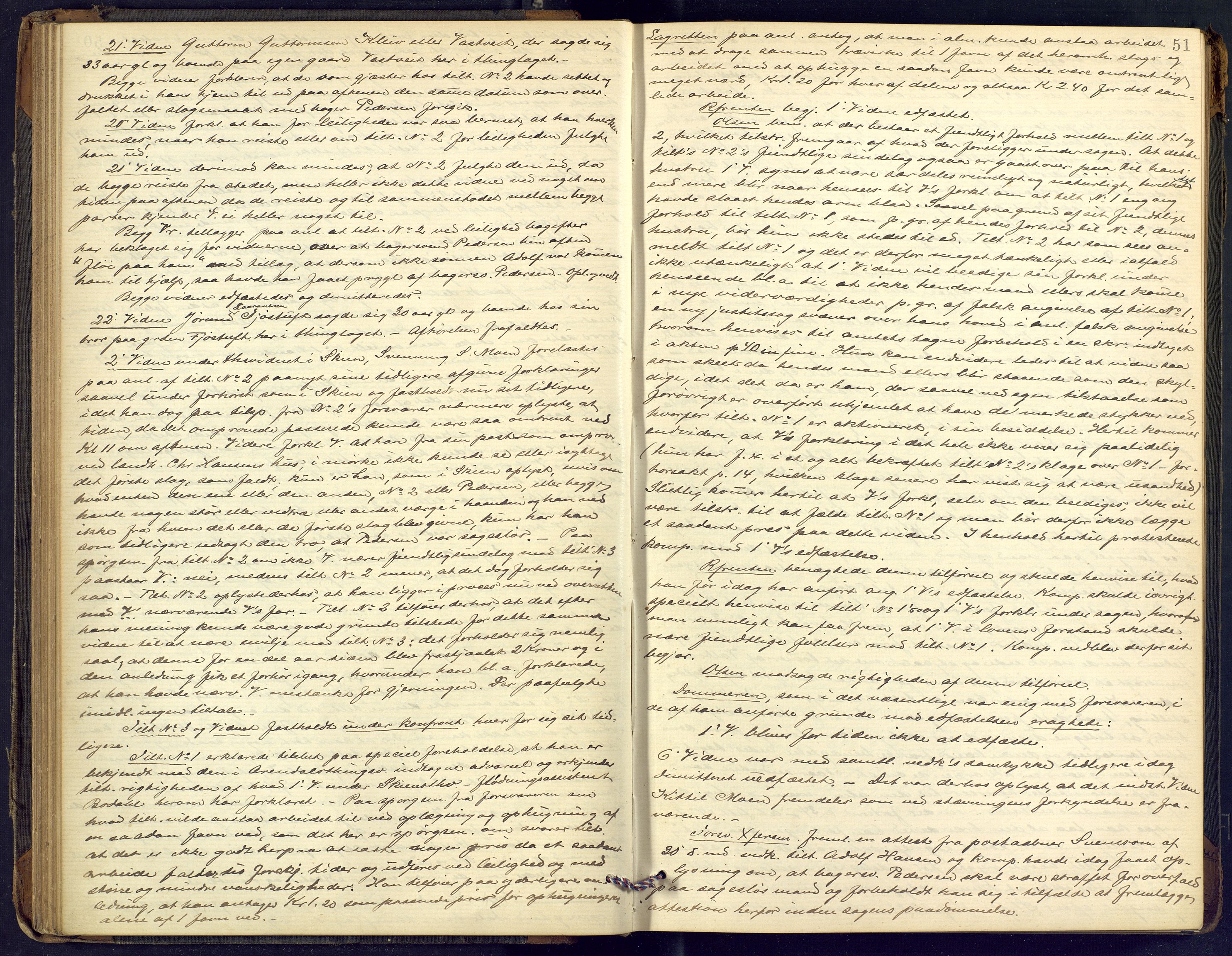 Øvre Telemark østfjelske sorenskriveri, AV/SAKO-A-213/F/Fc/Fcb/L0011: Ekstrarettsprotokoll, straffesaker, 1888-1897, p. 51
