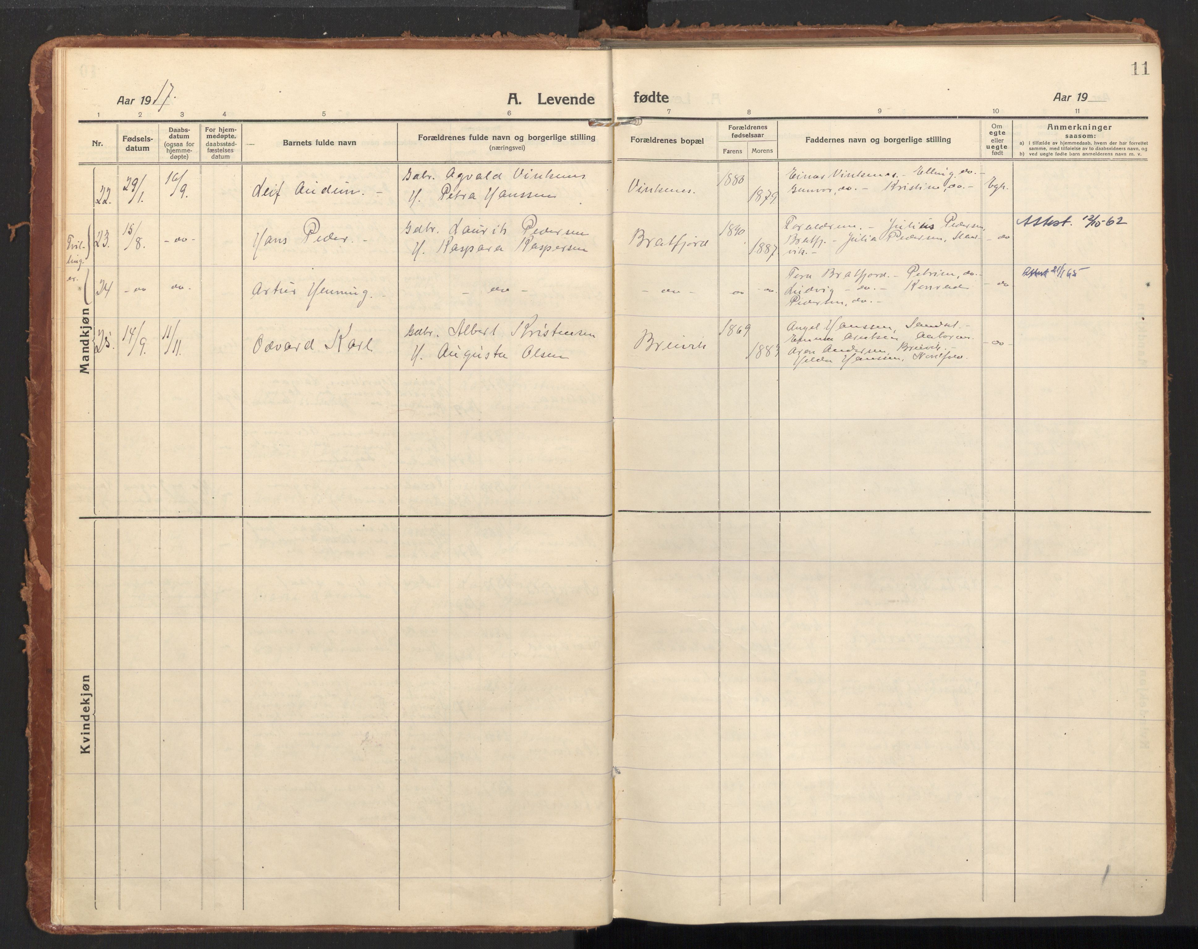 Ministerialprotokoller, klokkerbøker og fødselsregistre - Nordland, AV/SAT-A-1459/858/L0833: Parish register (official) no. 858A03, 1916-1934, p. 11