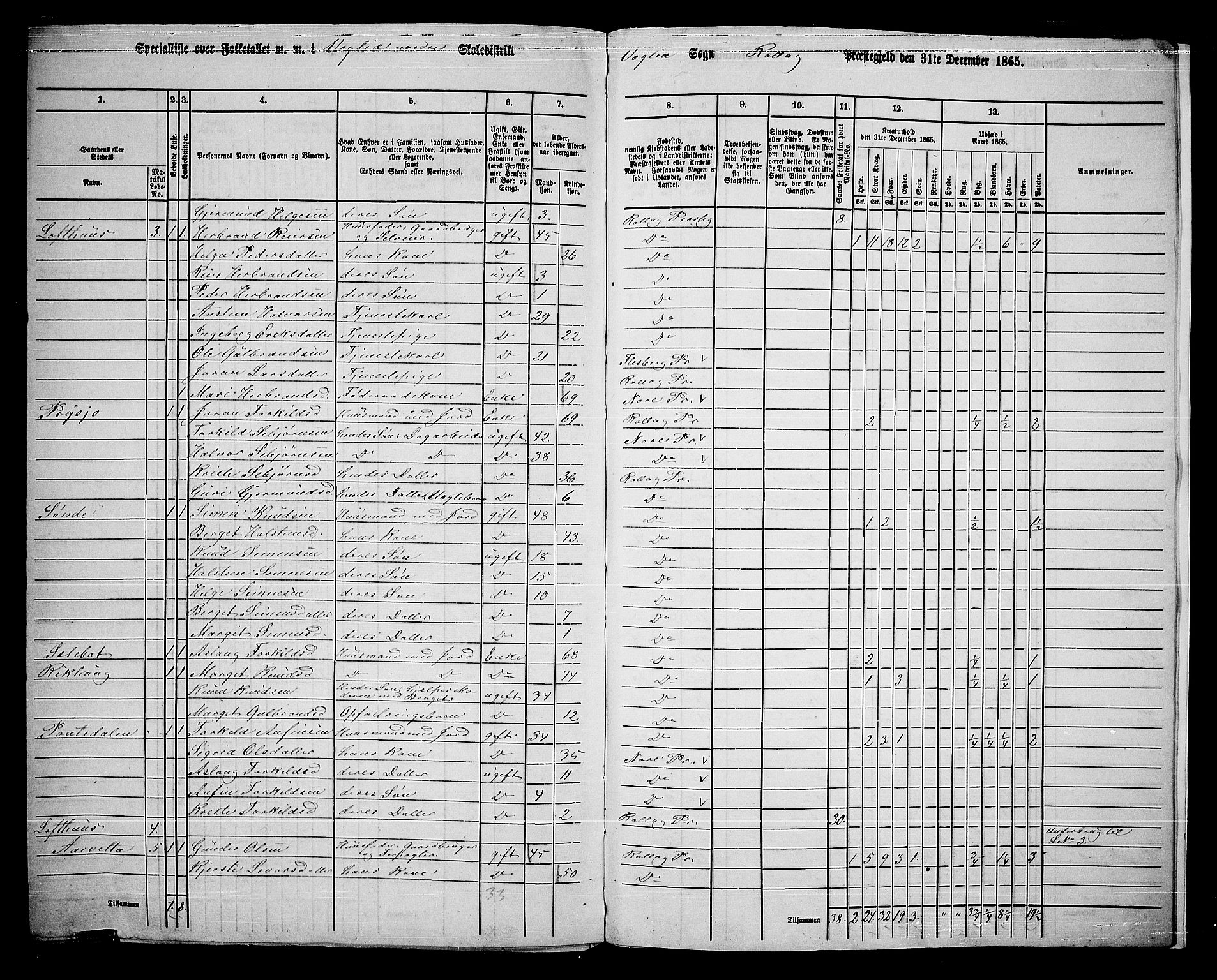 RA, 1865 census for Rollag, 1865, p. 76