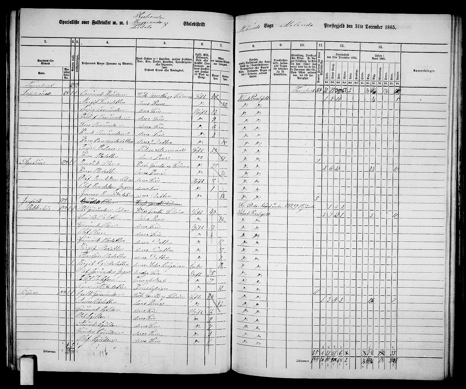 RA, 1865 census for Moland, 1865, p. 12