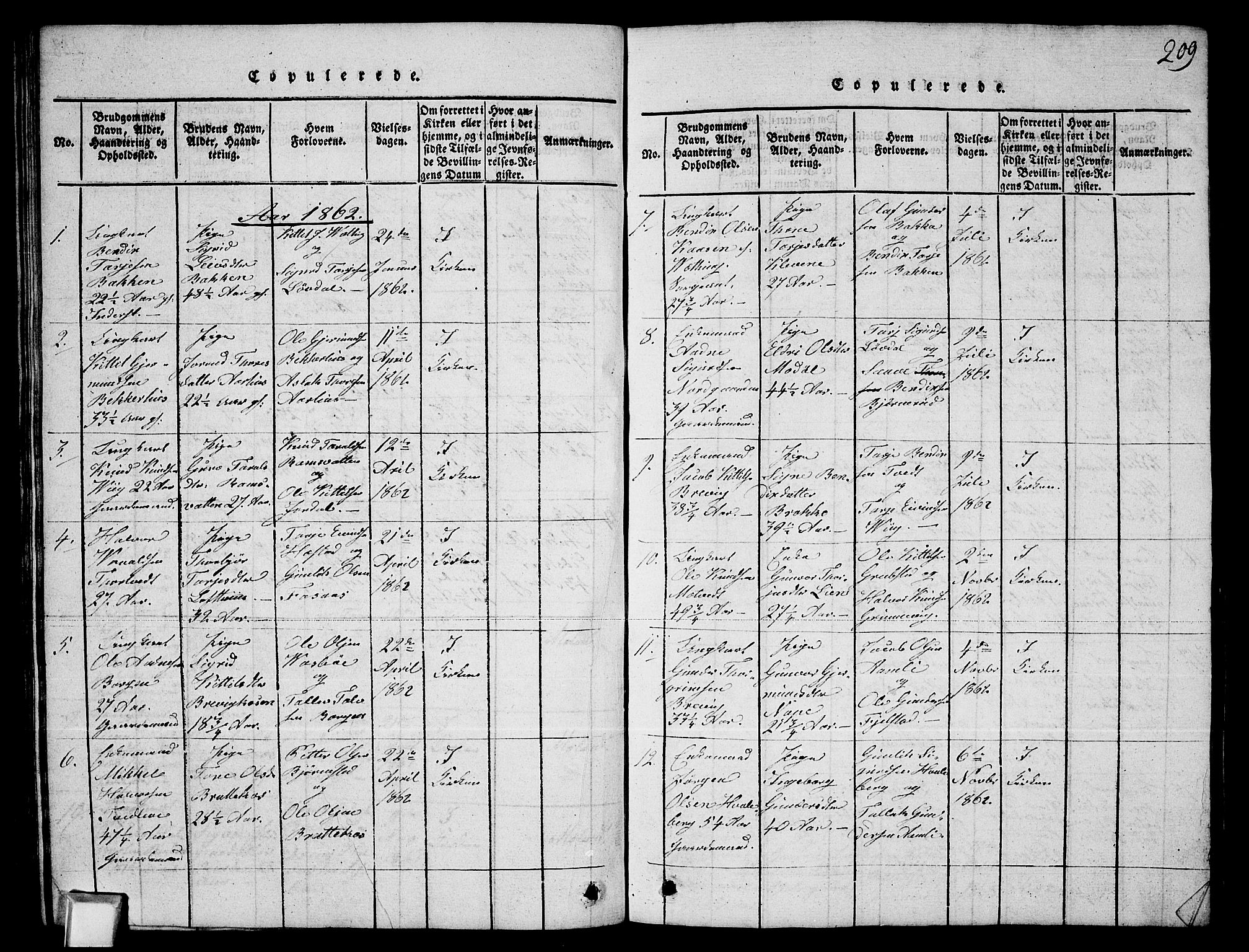 Fyresdal kirkebøker, SAKO/A-263/G/Ga/L0003: Parish register (copy) no. I 3, 1815-1863, p. 209