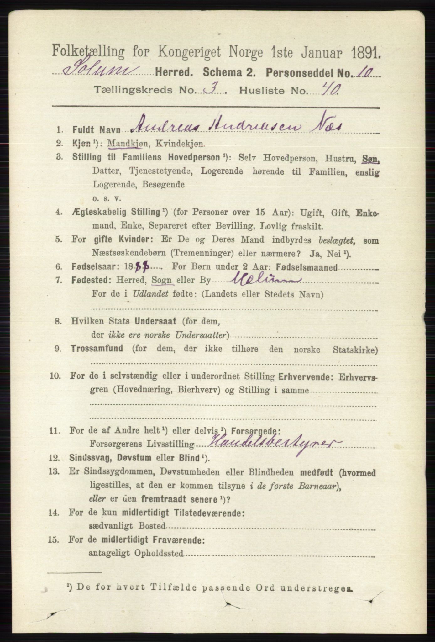 RA, 1891 census for 0818 Solum, 1891, p. 573