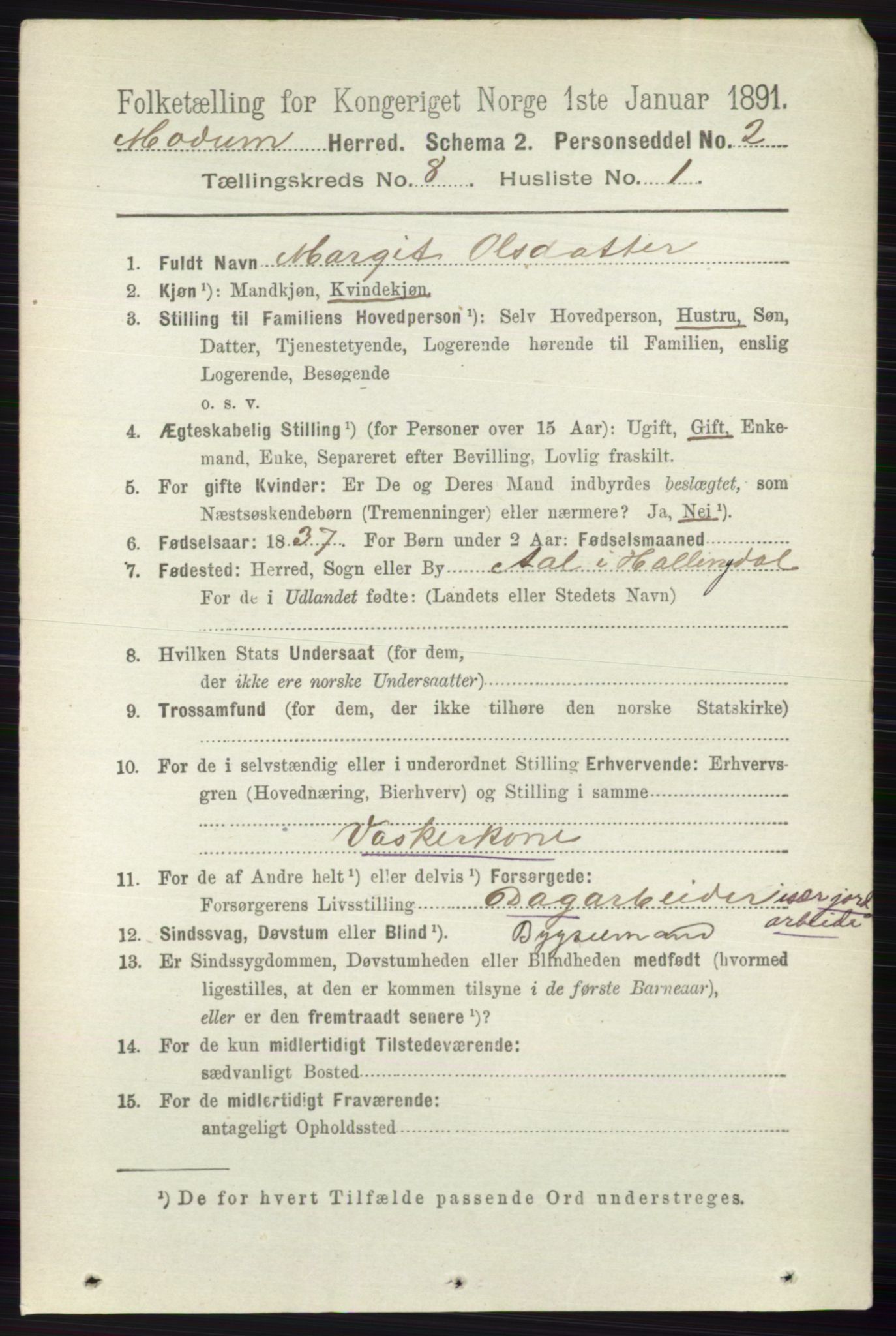 RA, 1891 census for 0623 Modum, 1891, p. 2869