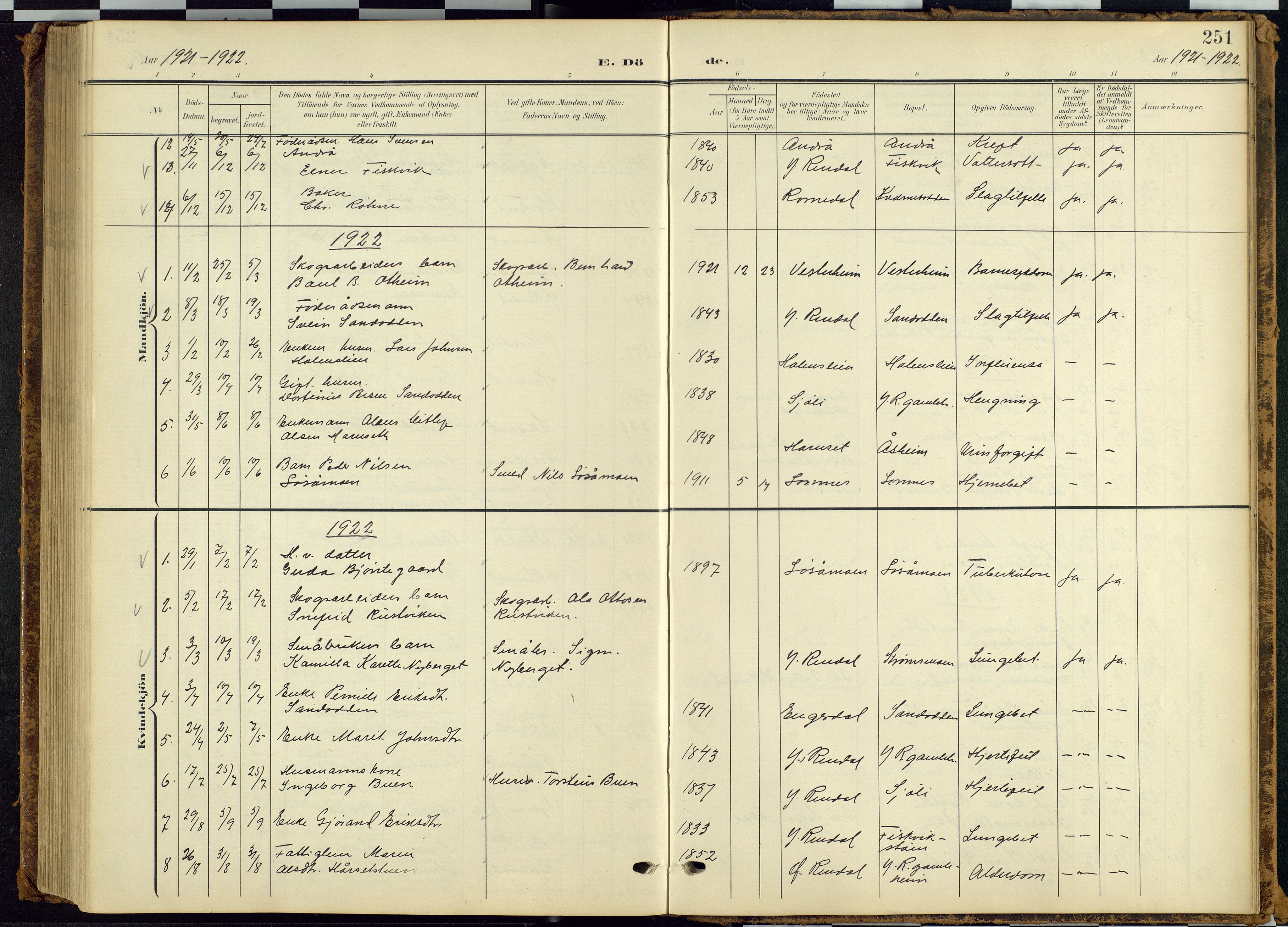 Rendalen prestekontor, SAH/PREST-054/H/Ha/Hab/L0010: Parish register (copy) no. 10, 1903-1940, p. 251