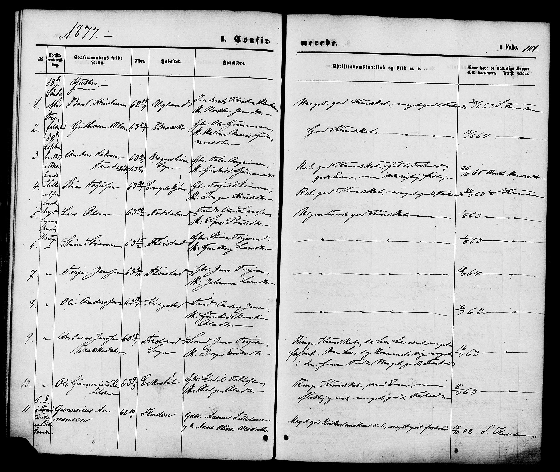 Austre Moland sokneprestkontor, AV/SAK-1111-0001/F/Fa/Faa/L0009: Parish register (official) no. A 9, 1869-1879, p. 104