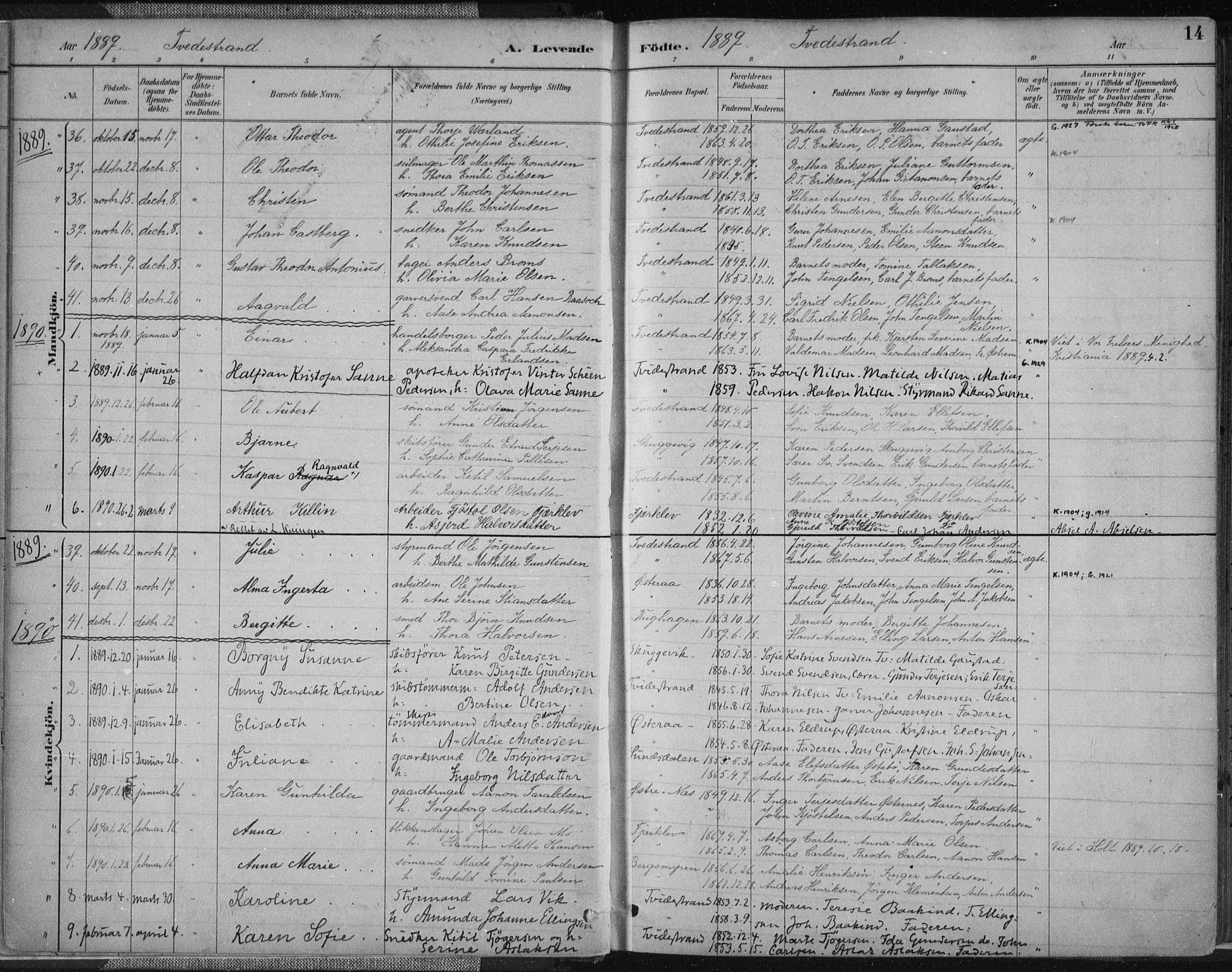 Tvedestrand sokneprestkontor, AV/SAK-1111-0042/F/Fa/L0001: Parish register (official) no. A 1, 1885-1916, p. 15