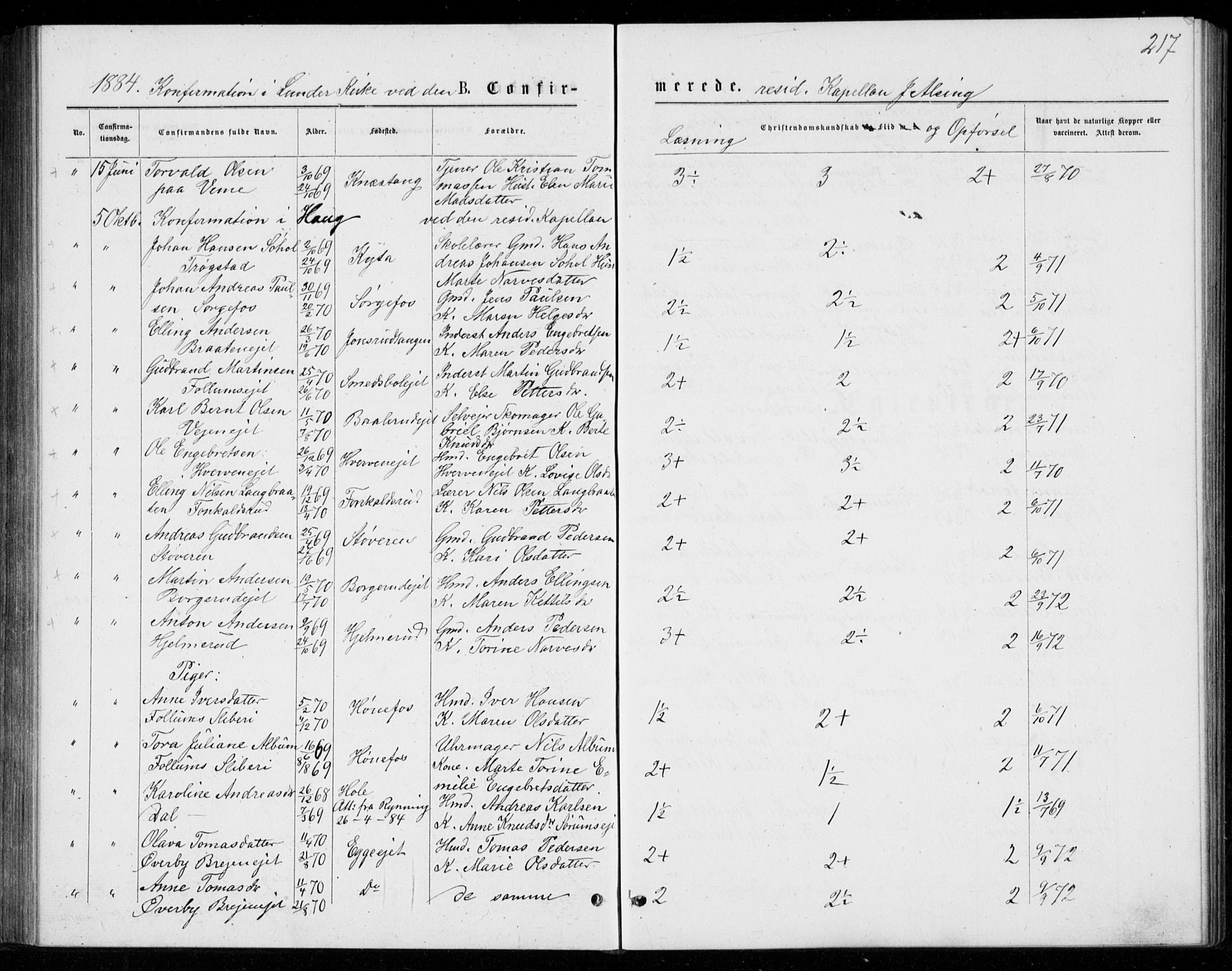 Norderhov kirkebøker, AV/SAKO-A-237/G/Ga/L0007: Parish register (copy) no. I 7, 1877-1887, p. 217