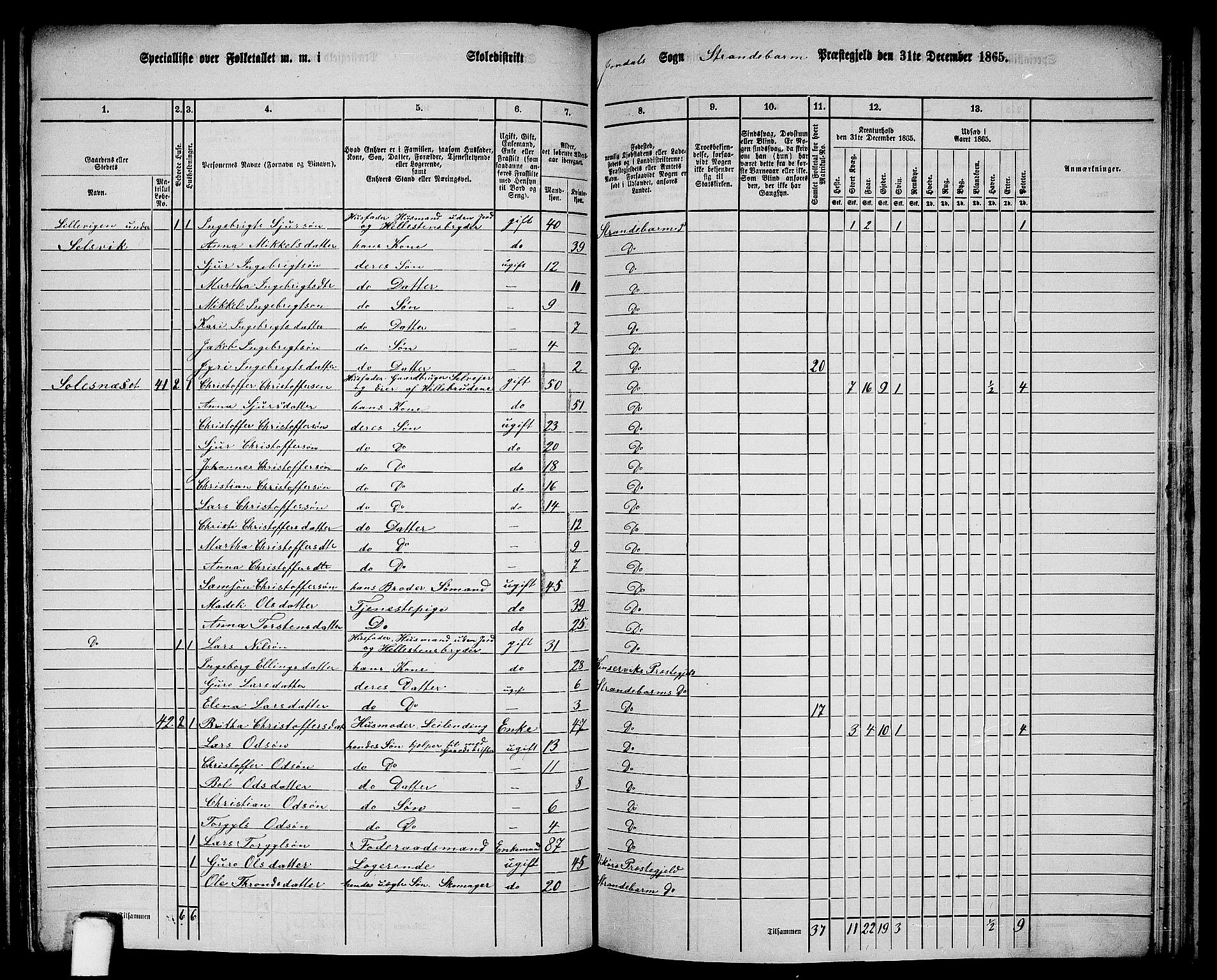 RA, 1865 census for Strandebarm, 1865, p. 162