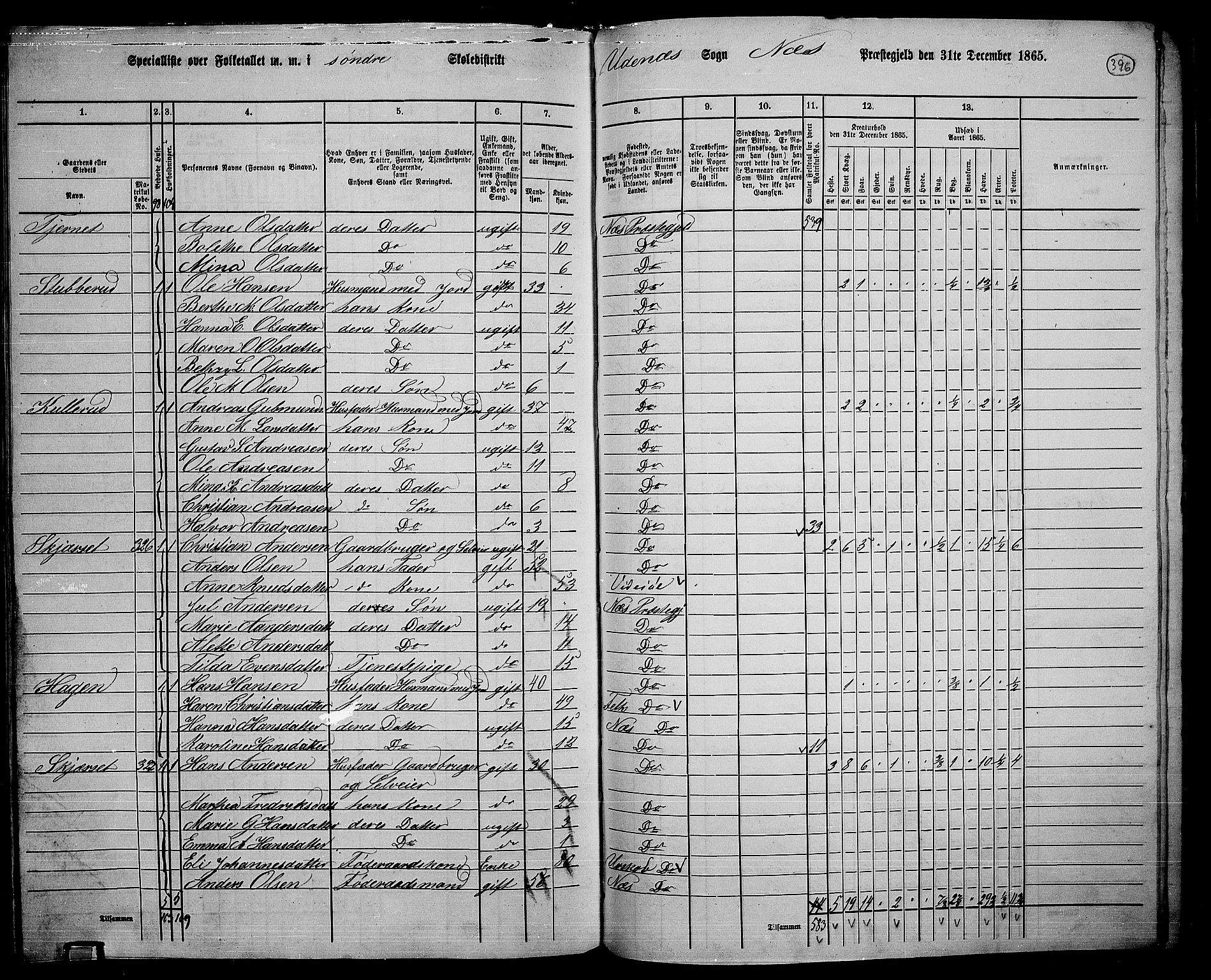 RA, 1865 census for Nes, 1865, p. 362