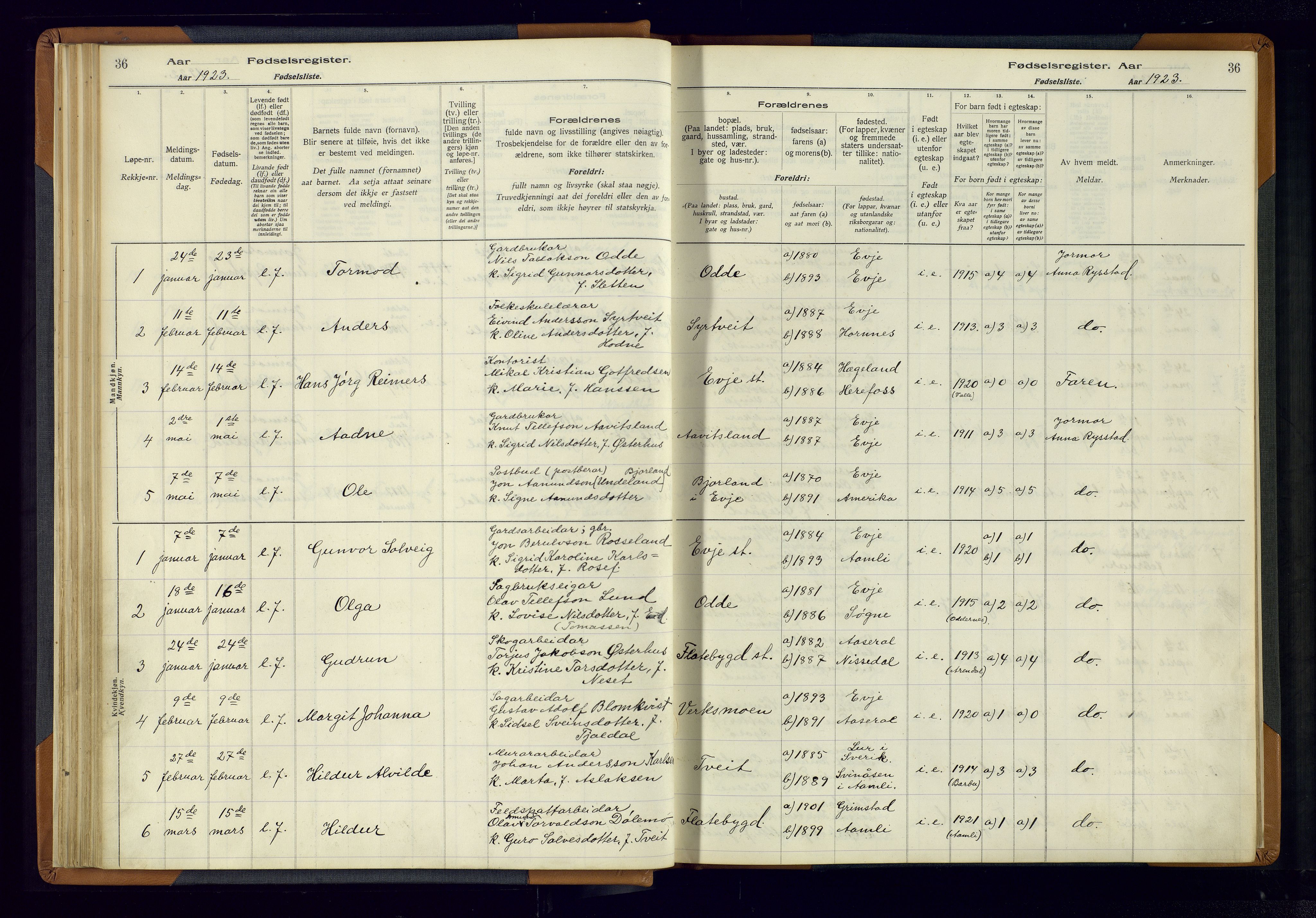 Evje sokneprestkontor, AV/SAK-1111-0008/J/Jc/L0004: Birth register no. 4, 1916-1968, p. 36